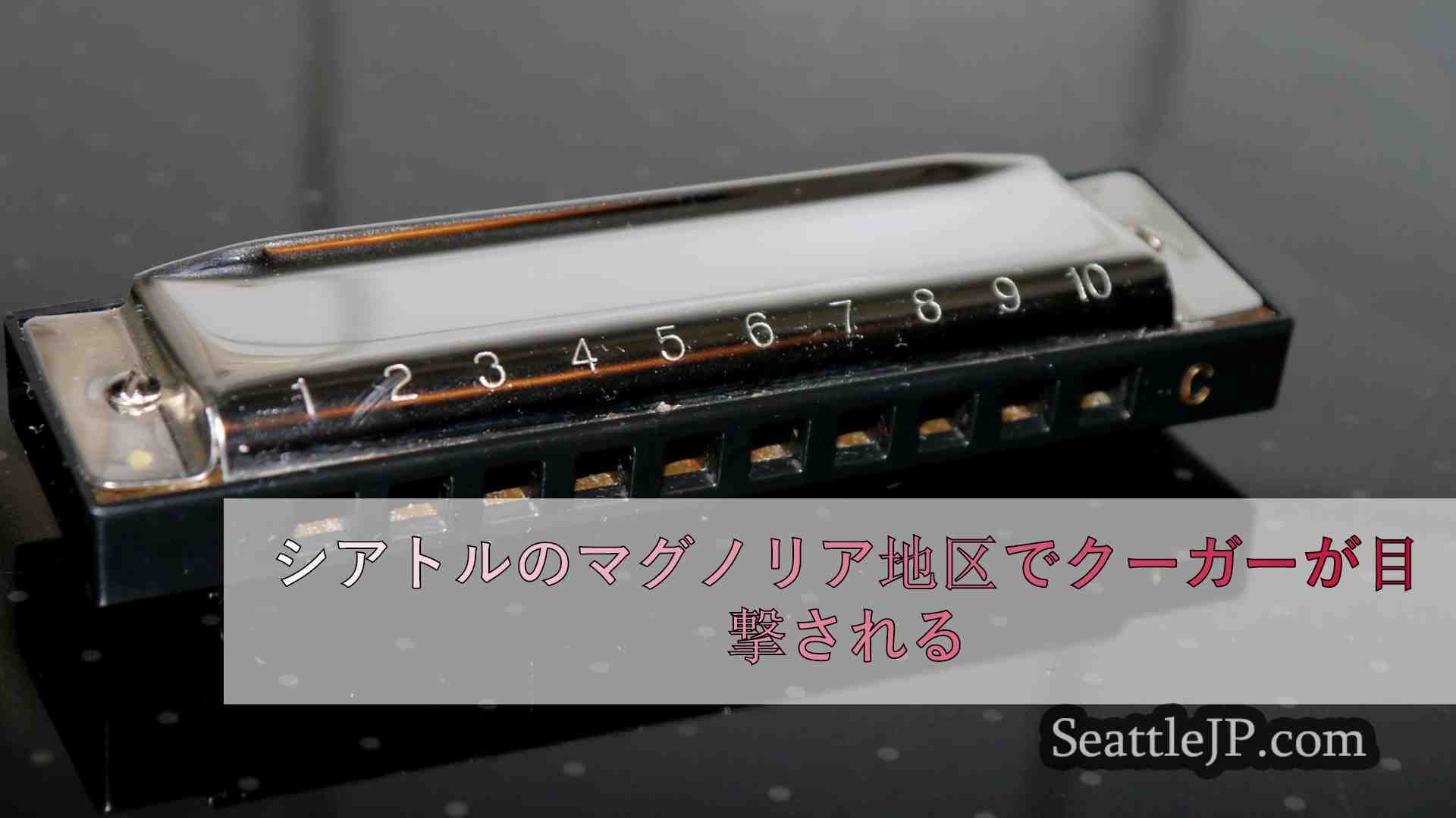 シアトルニュース SeattleJP