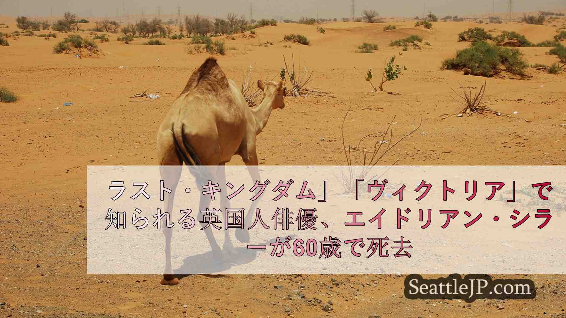 シアトルニュース SeattleJP