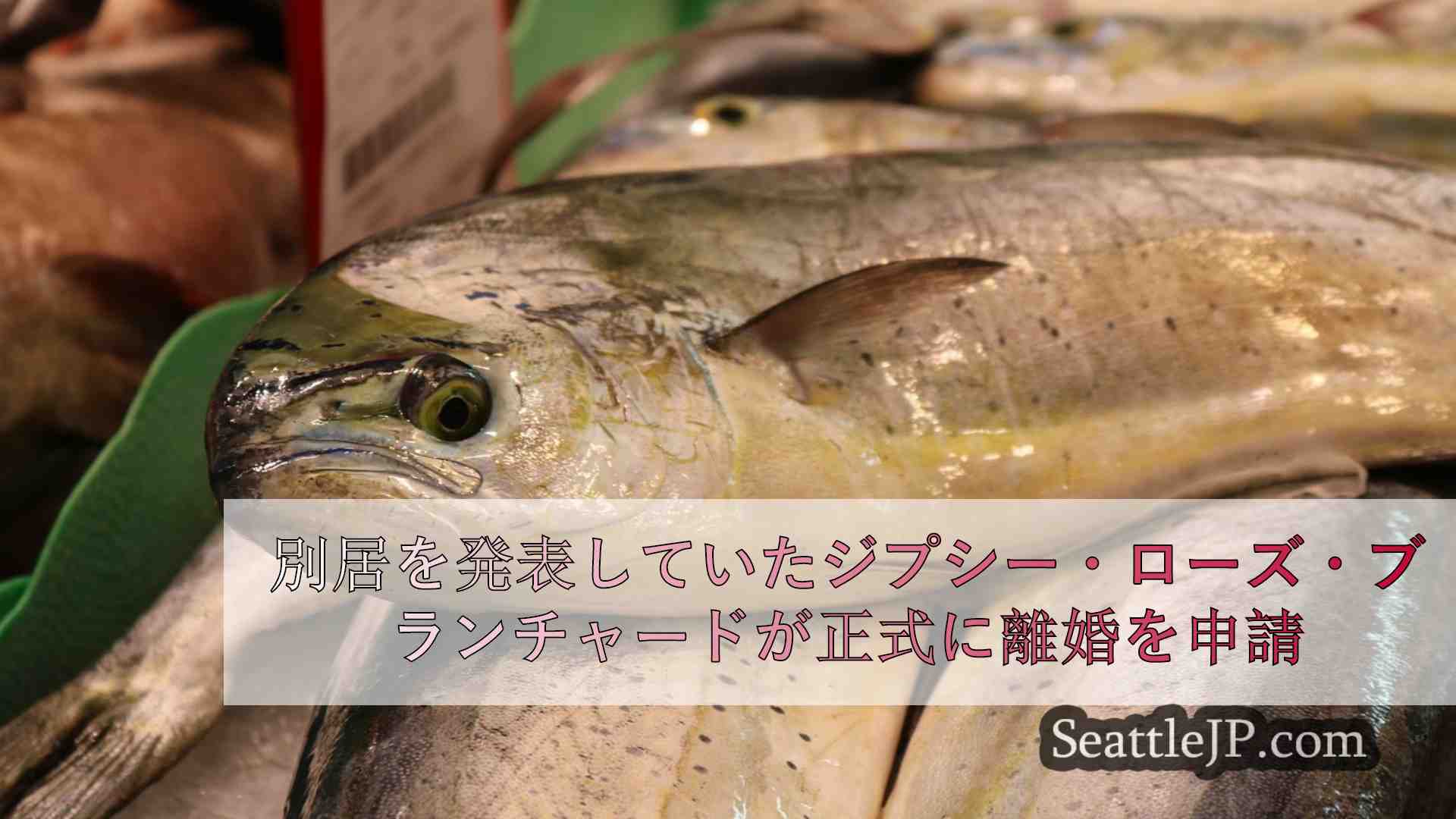 シアトルニュース SeattleJP