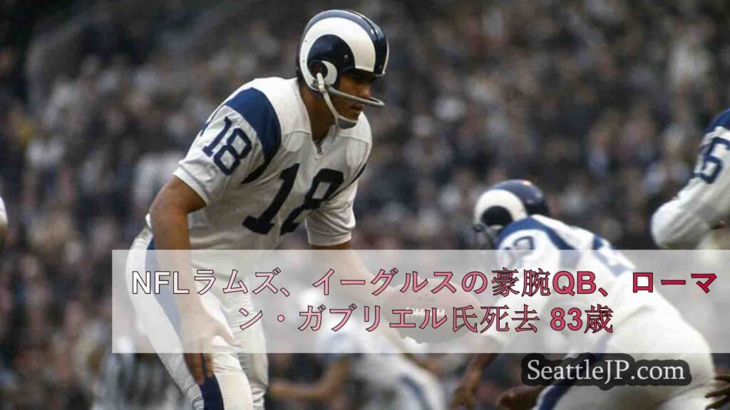 NFLラムズ、イーグルスの豪腕QB、ローマン・ガブリエル氏死去 83歳