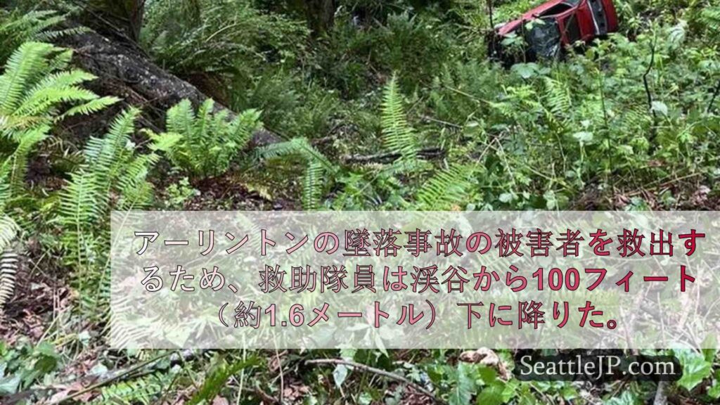 アーリントンの墜落事故の被害者を救出するため、救助隊員は渓谷から100フ