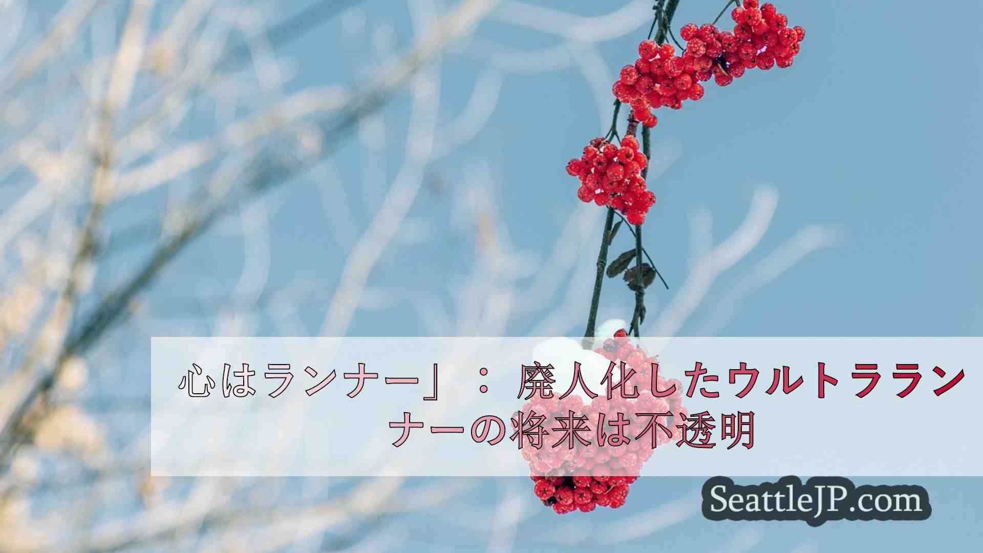 シアトルニュース SeattleJP