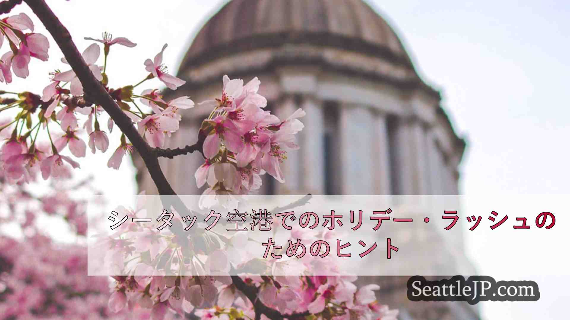シアトルニュース SeattleJP