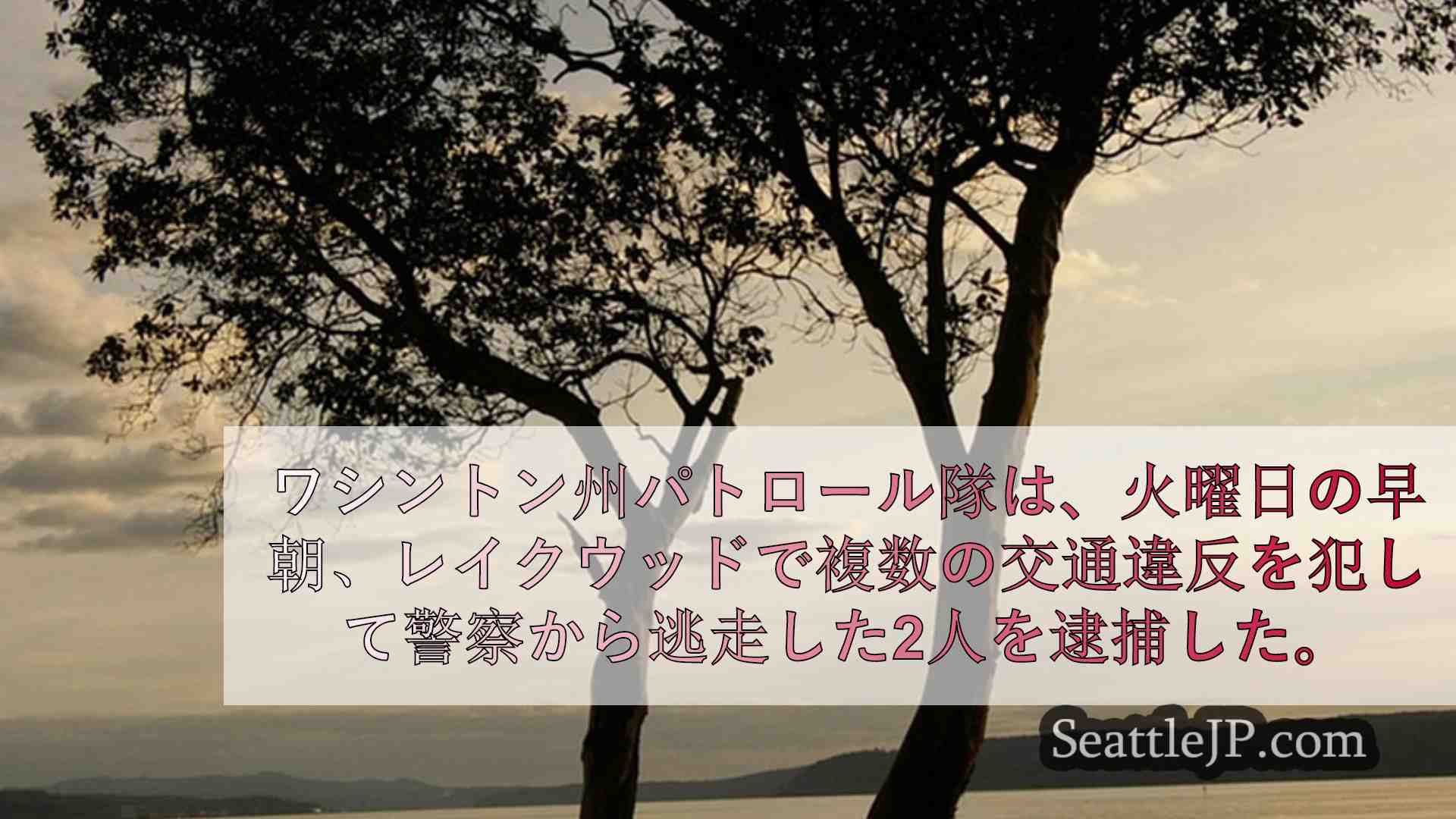 シアトルニュース SeattleJP