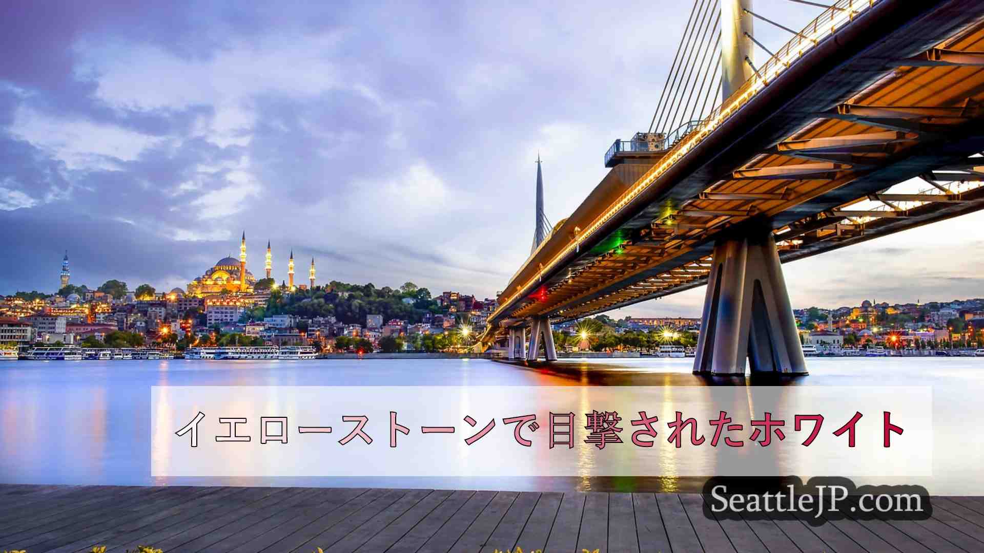 シアトルニュース SeattleJP