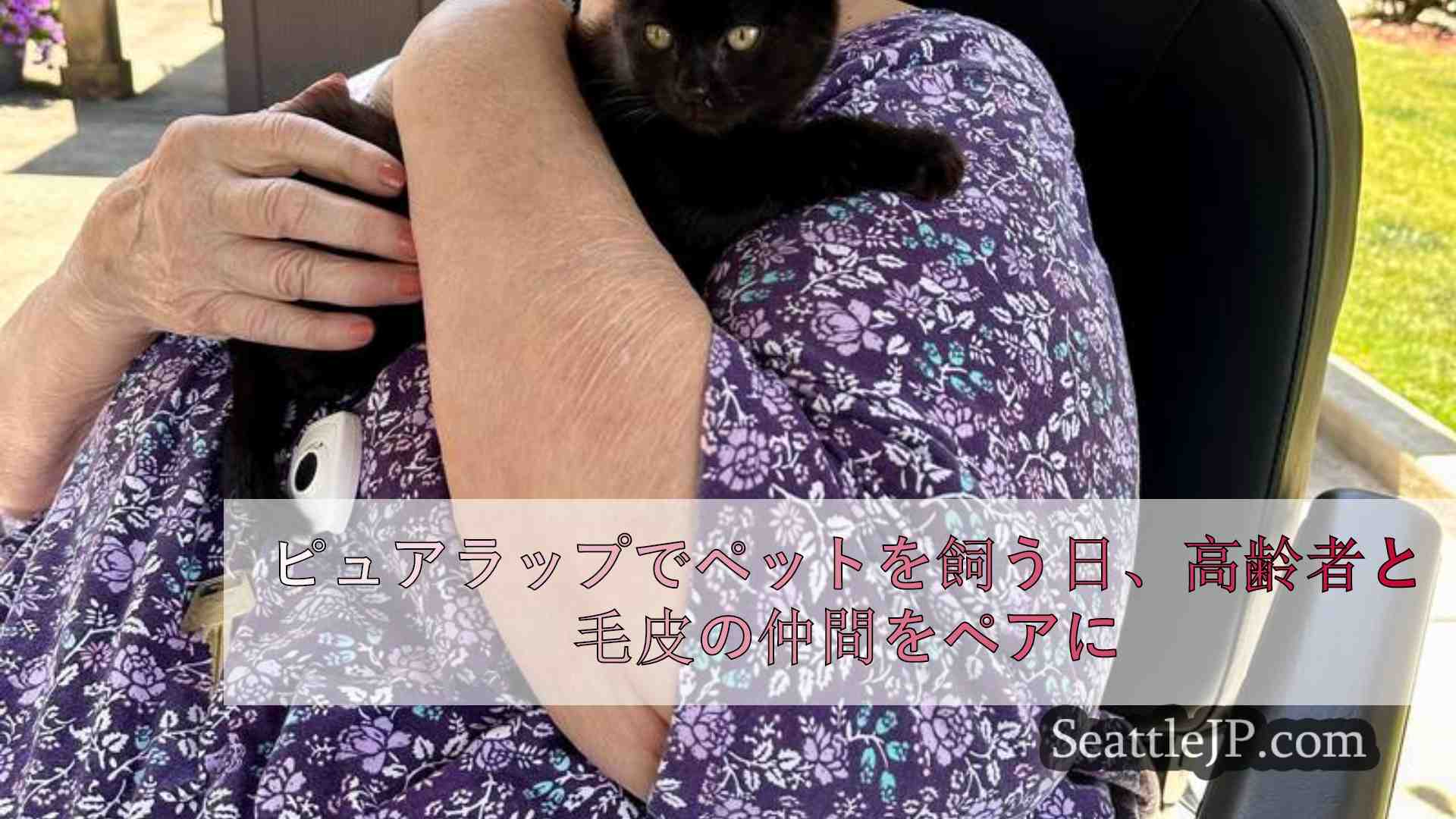 シアトルニュース SeattleJP