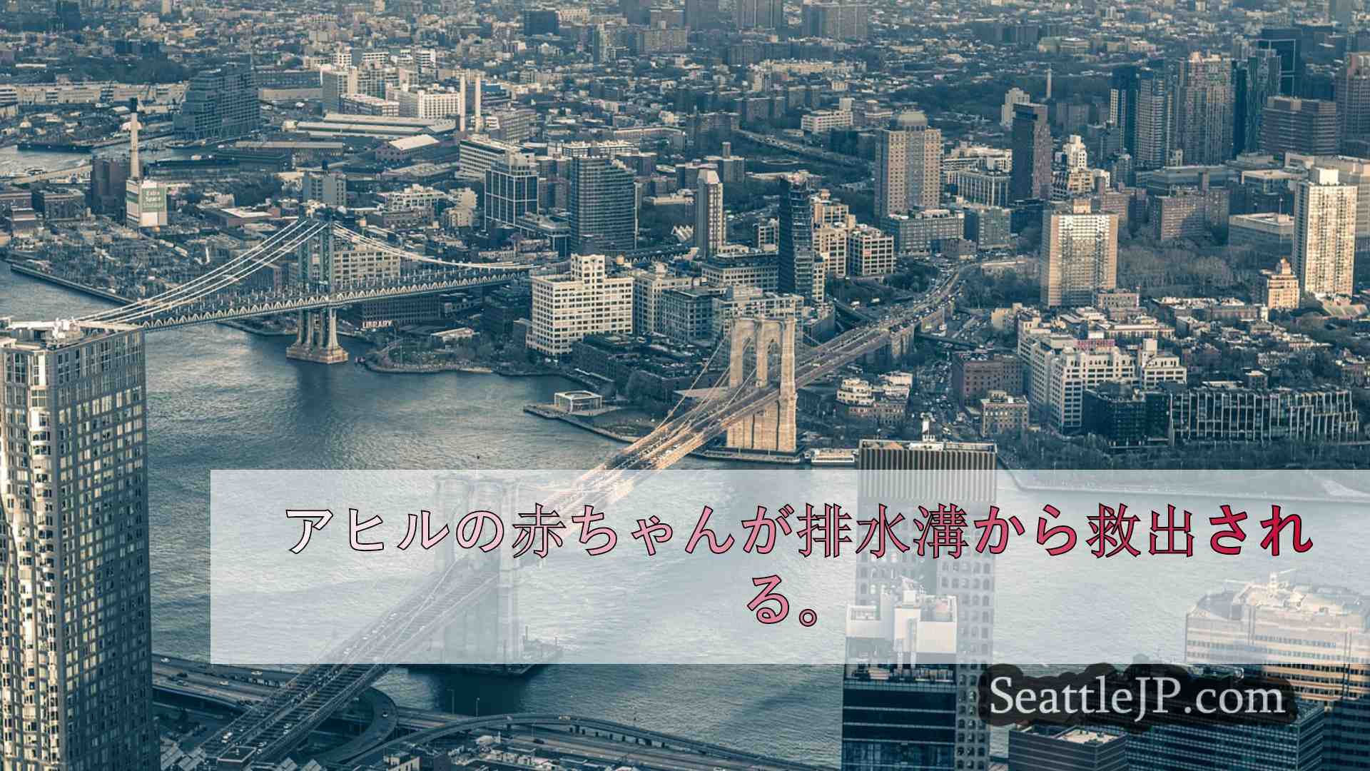 シアトルニュース SeattleJP