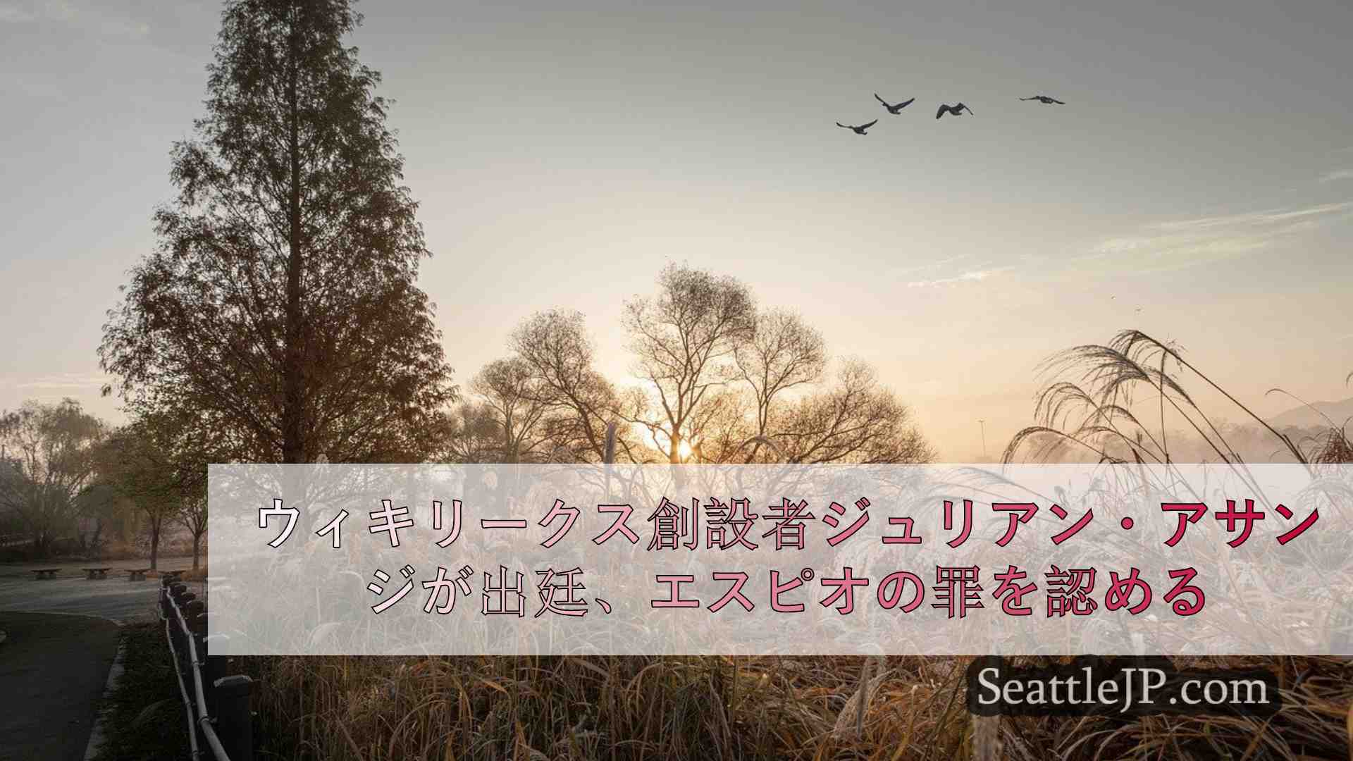 シアトルニュース SeattleJP