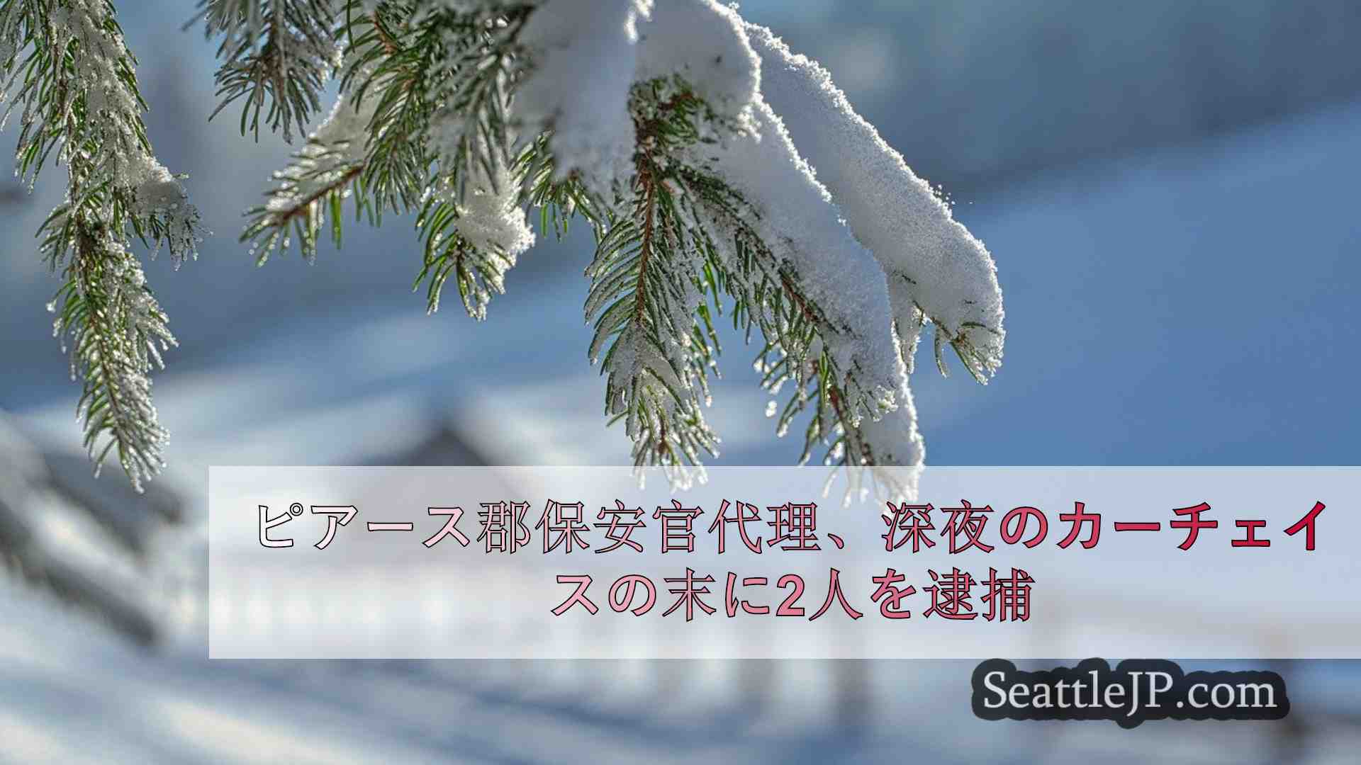 ピアース郡保安官代理、深夜のカーチェイスの末に2人を逮捕