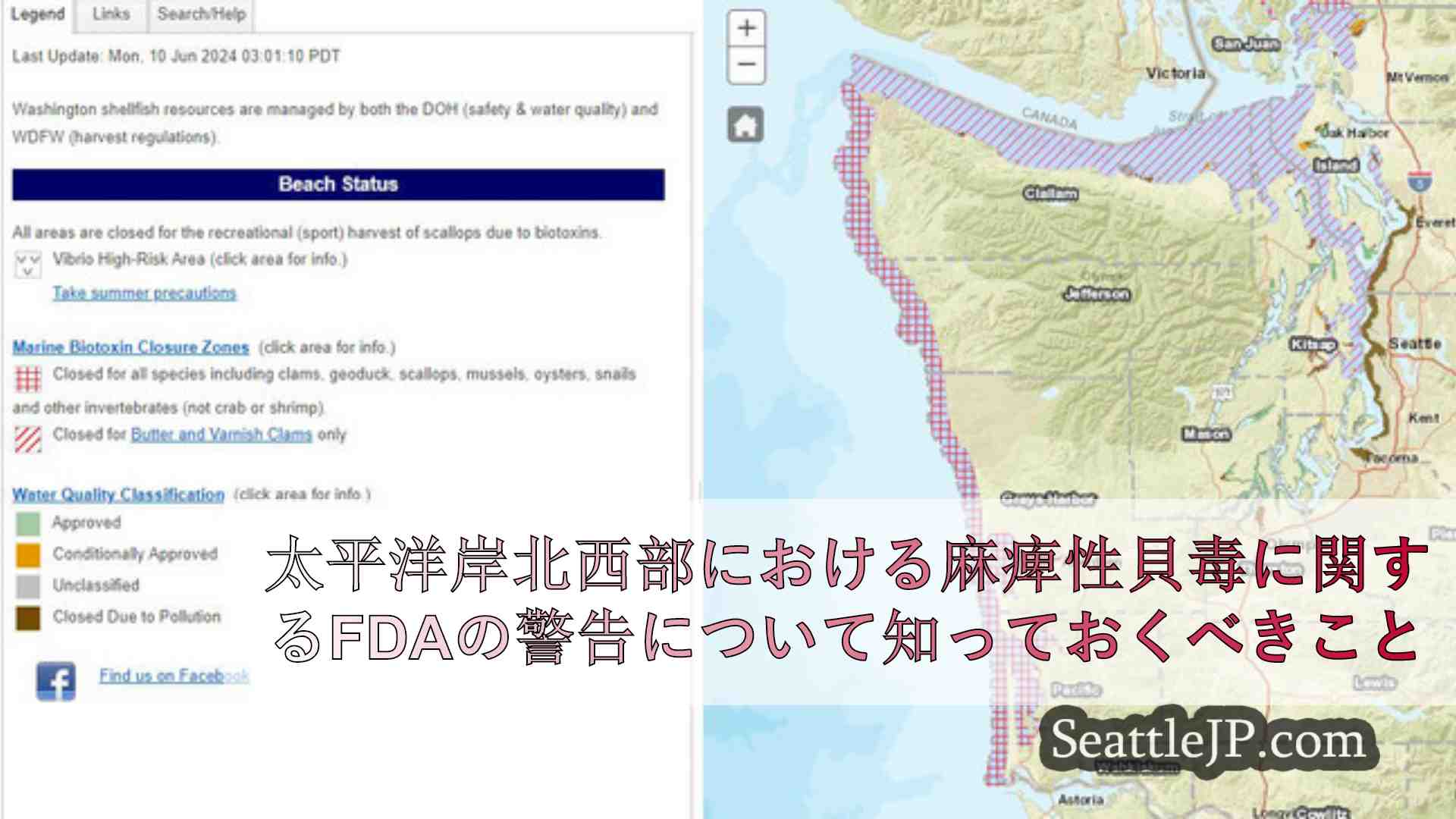 シアトルニュース SeattleJP