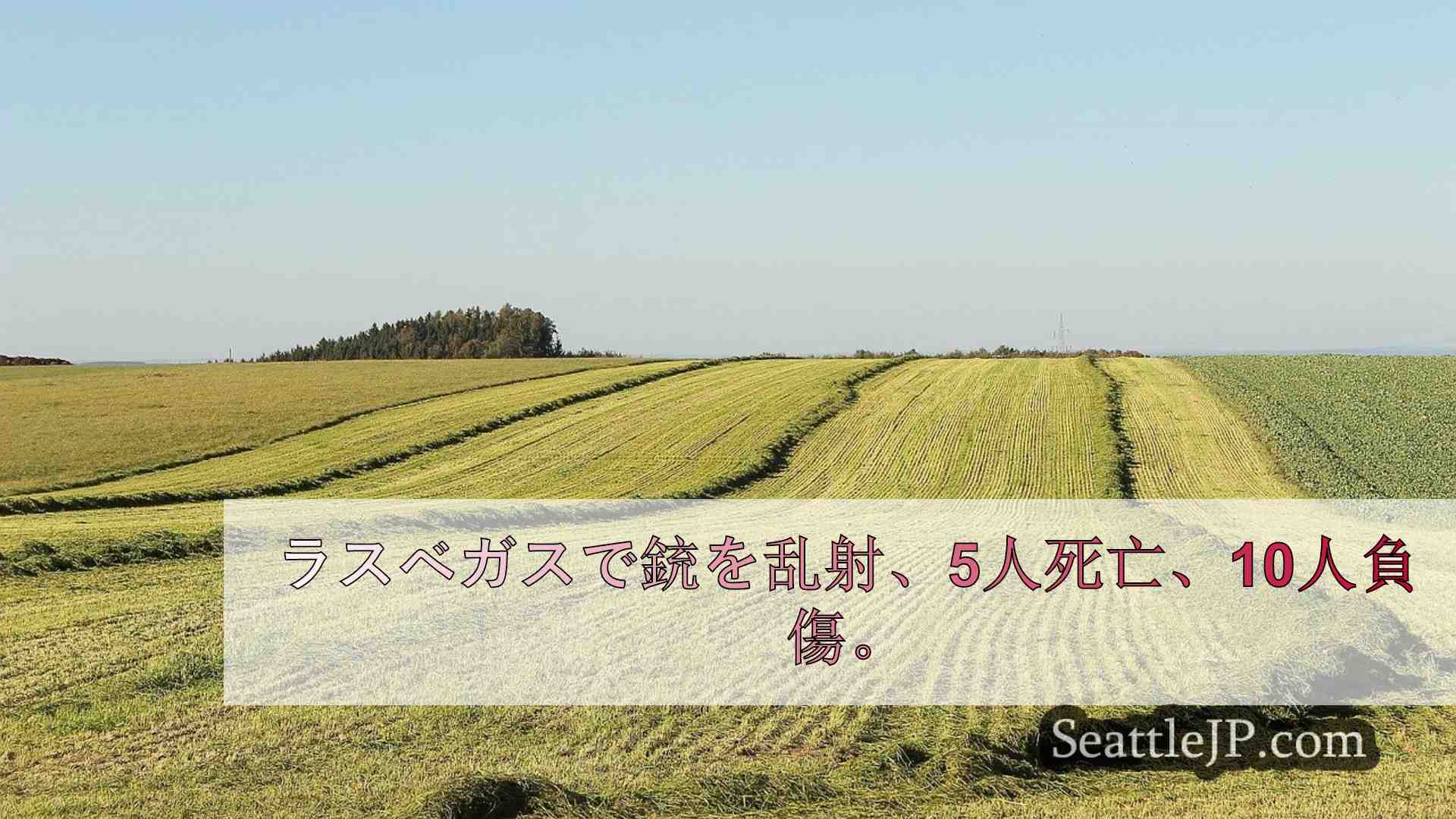シアトルニュース SeattleJP