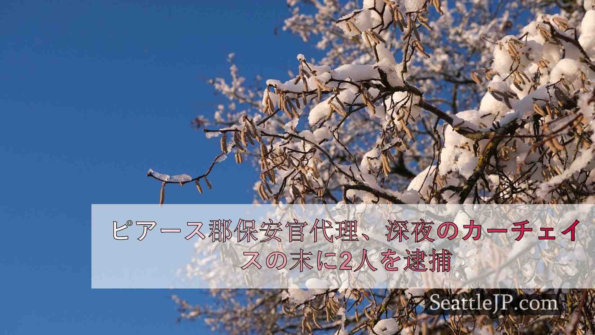 シアトルニュース SeattleJP