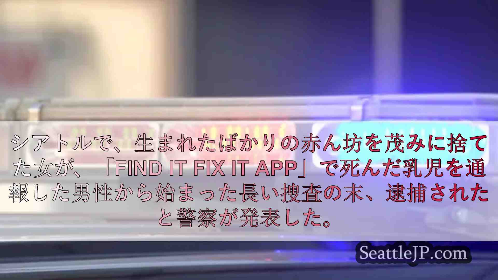 裁判資料 シアトルで母親が逮捕された。