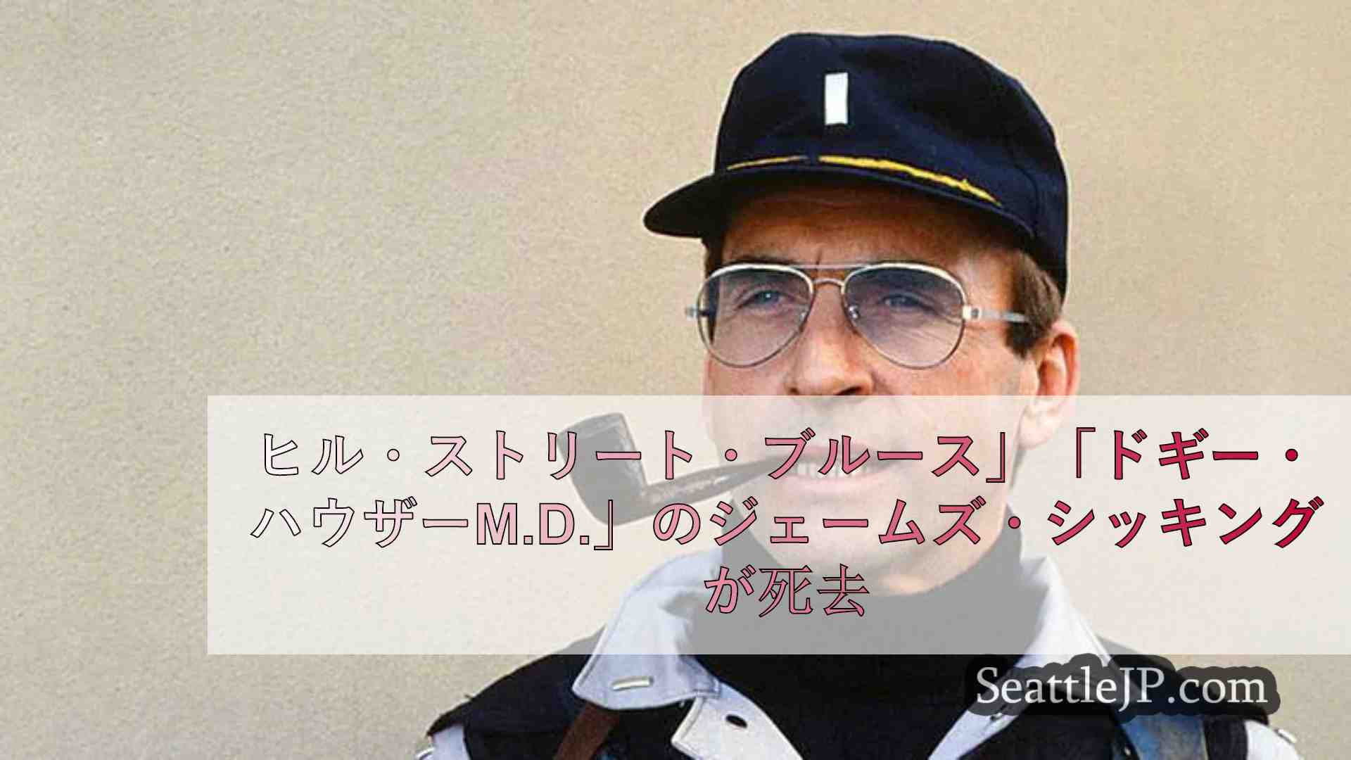 ヒル・ストリート・ブルース」「ドギー・ハウザーM.D.」のジェームズ・シッキング