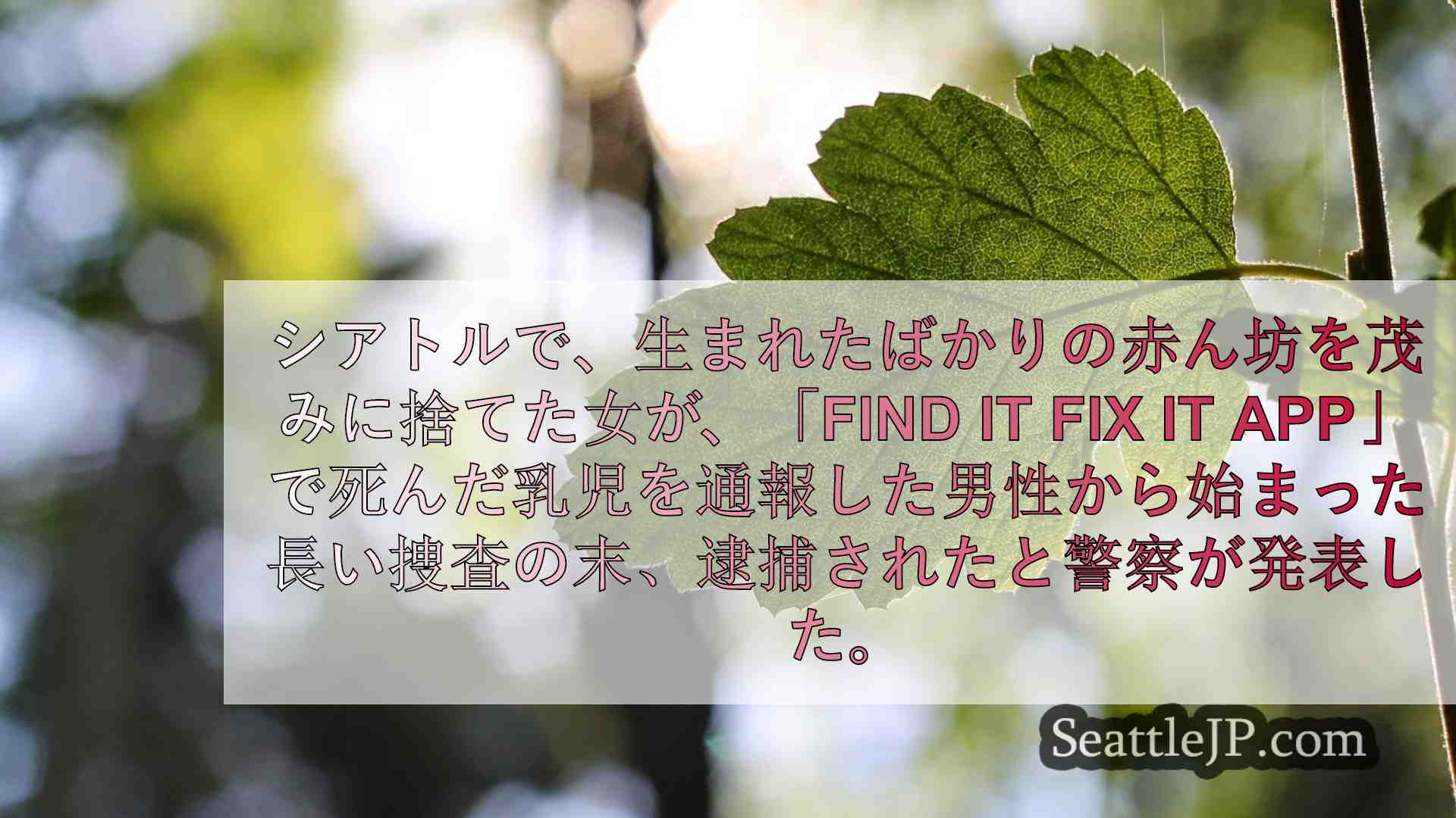 シアトルニュース SeattleJP