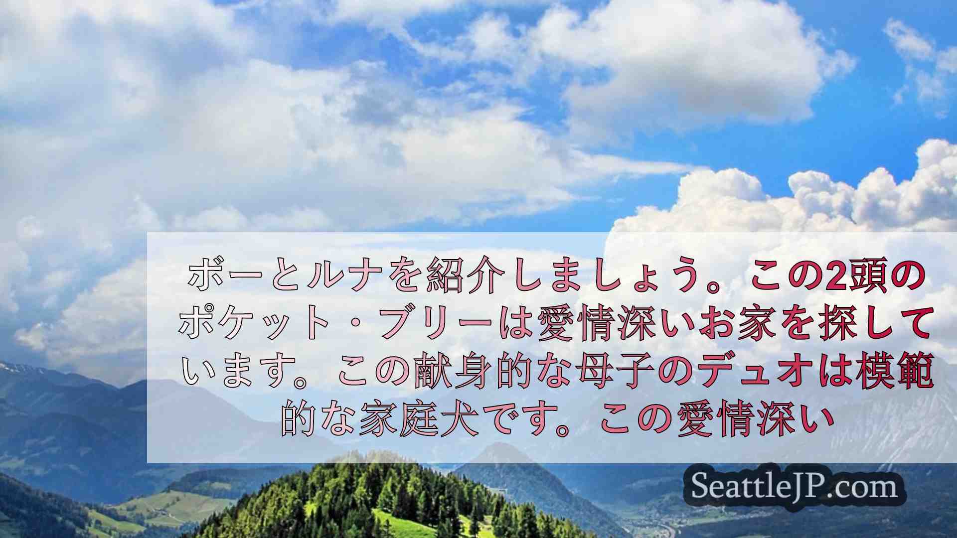 シアトルニュース SeattleJP
