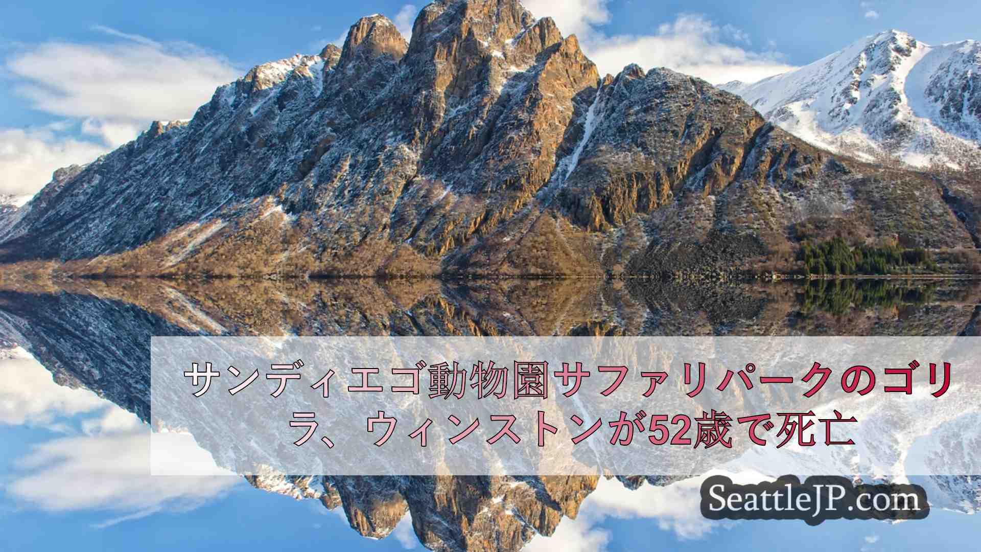 シアトルニュース SeattleJP