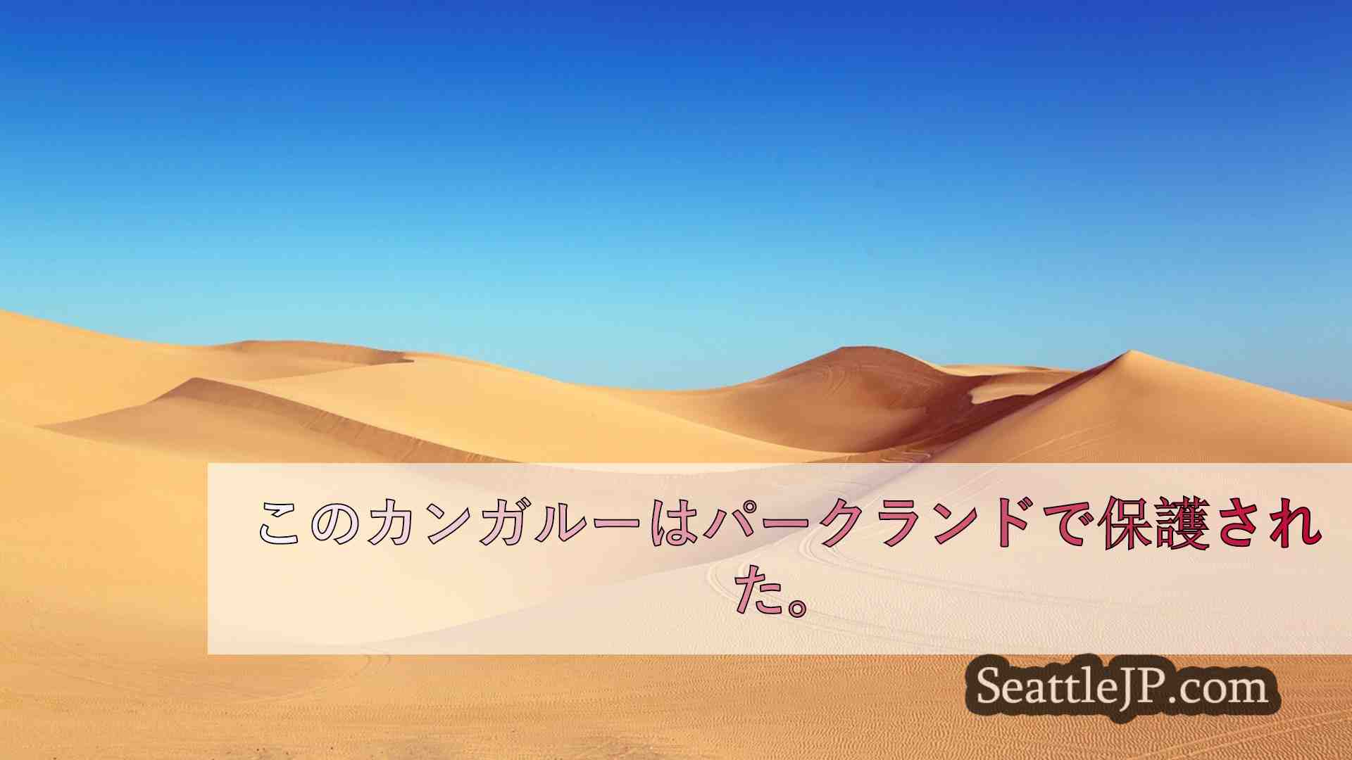 シアトルニュース SeattleJP
