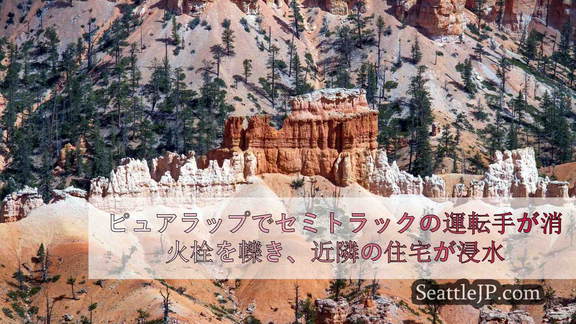 シアトルニュース SeattleJP