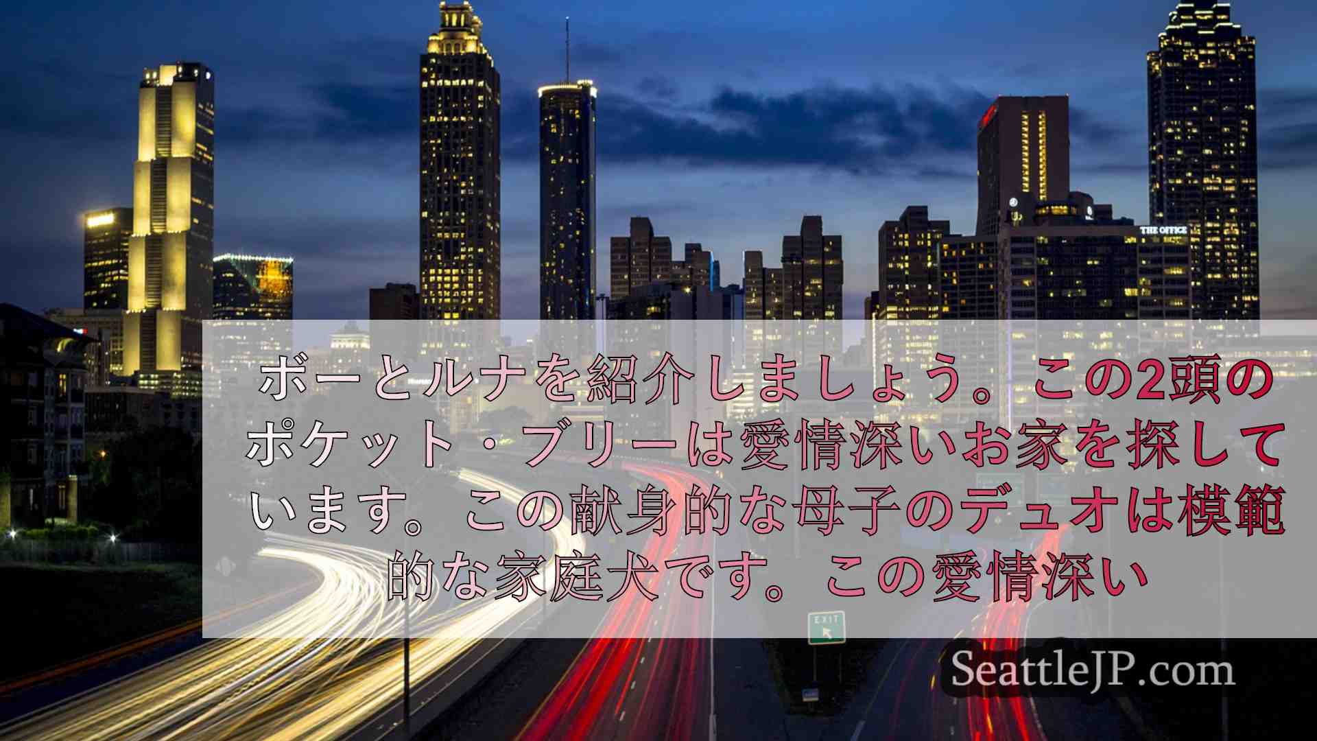 シアトルニュース SeattleJP