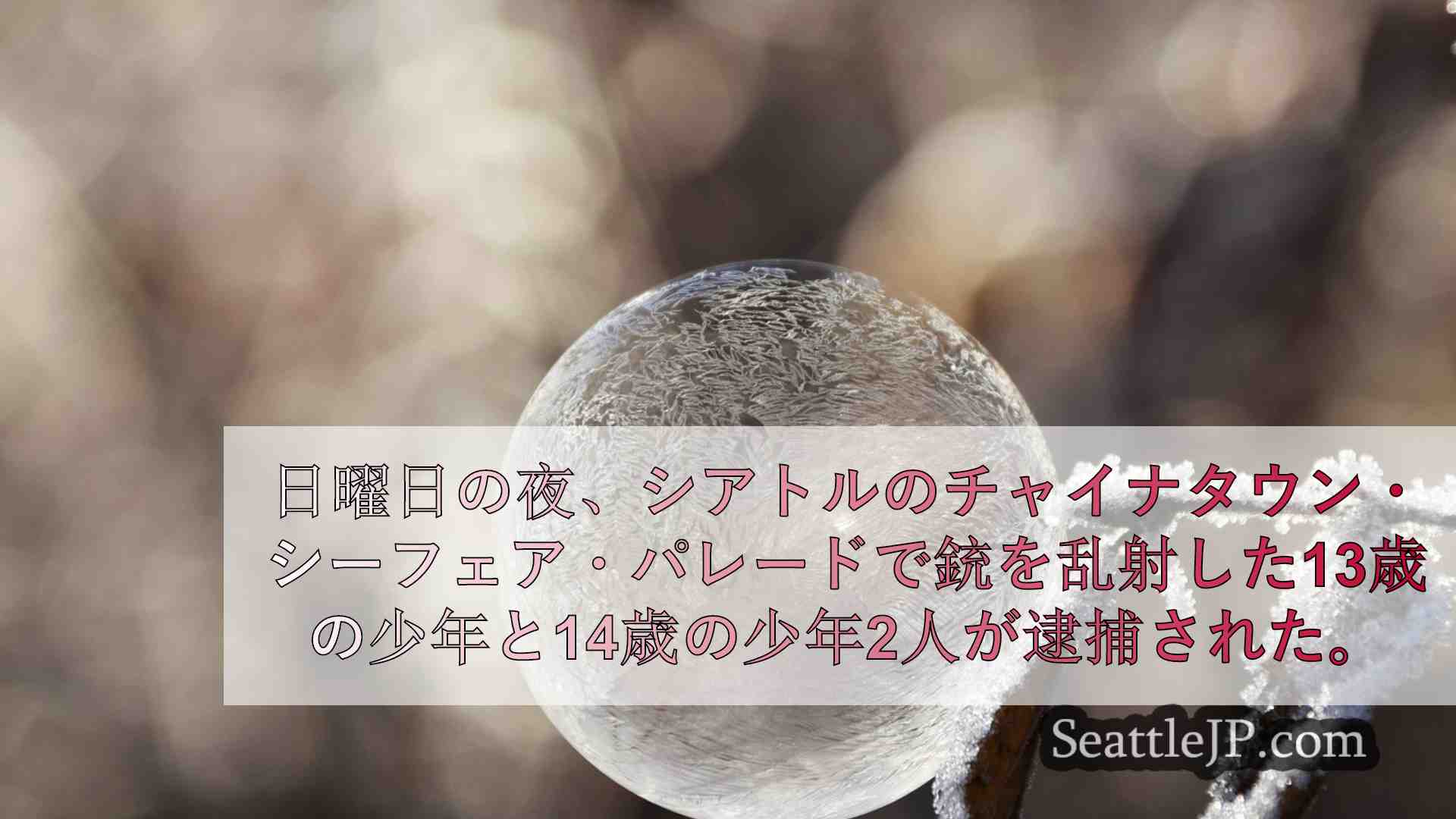 シアトルニュース SeattleJP