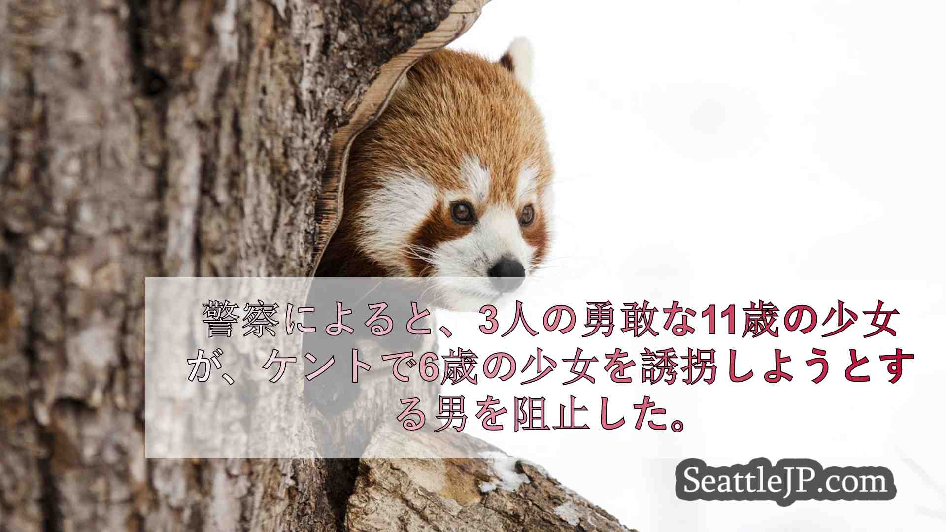 シアトルニュース SeattleJP