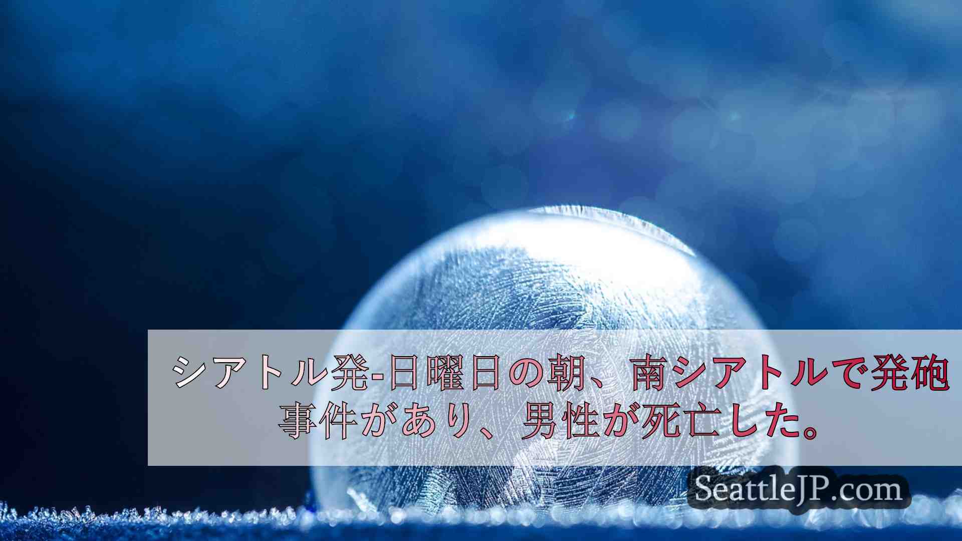 シアトルニュース SeattleJP
