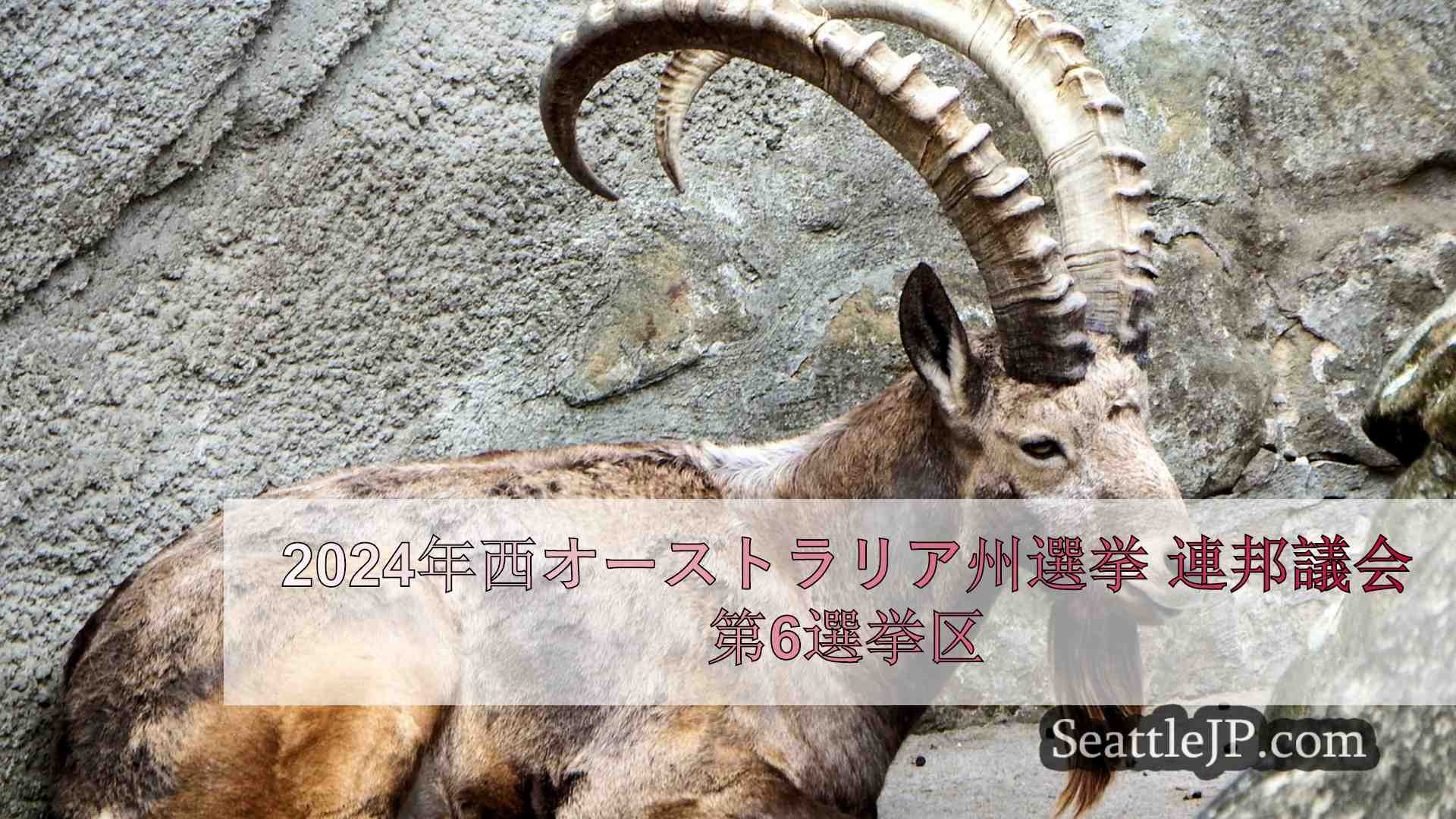 シアトルニュース SeattleJP