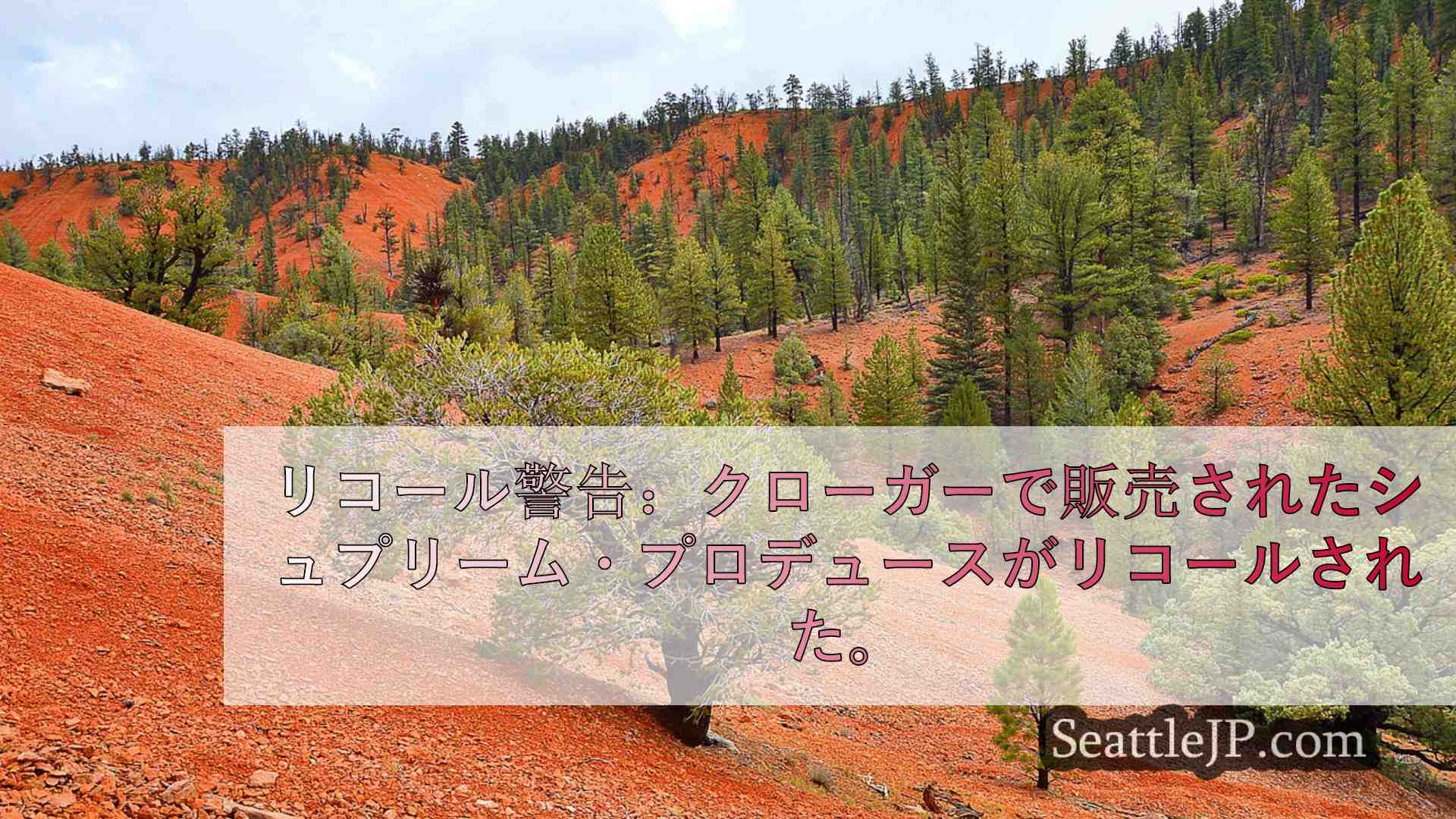 シアトルニュース SeattleJP