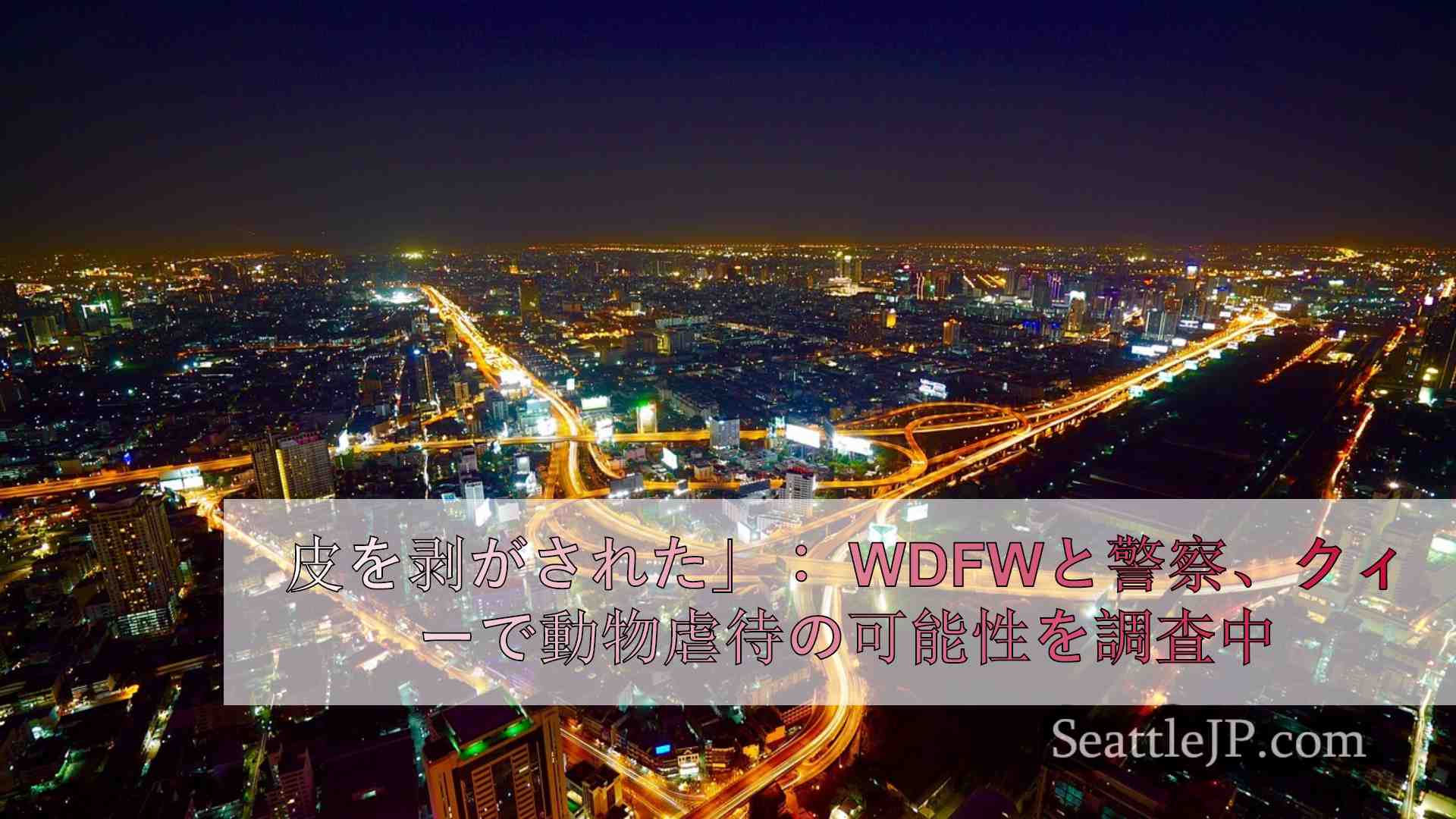 シアトルニュース SeattleJP