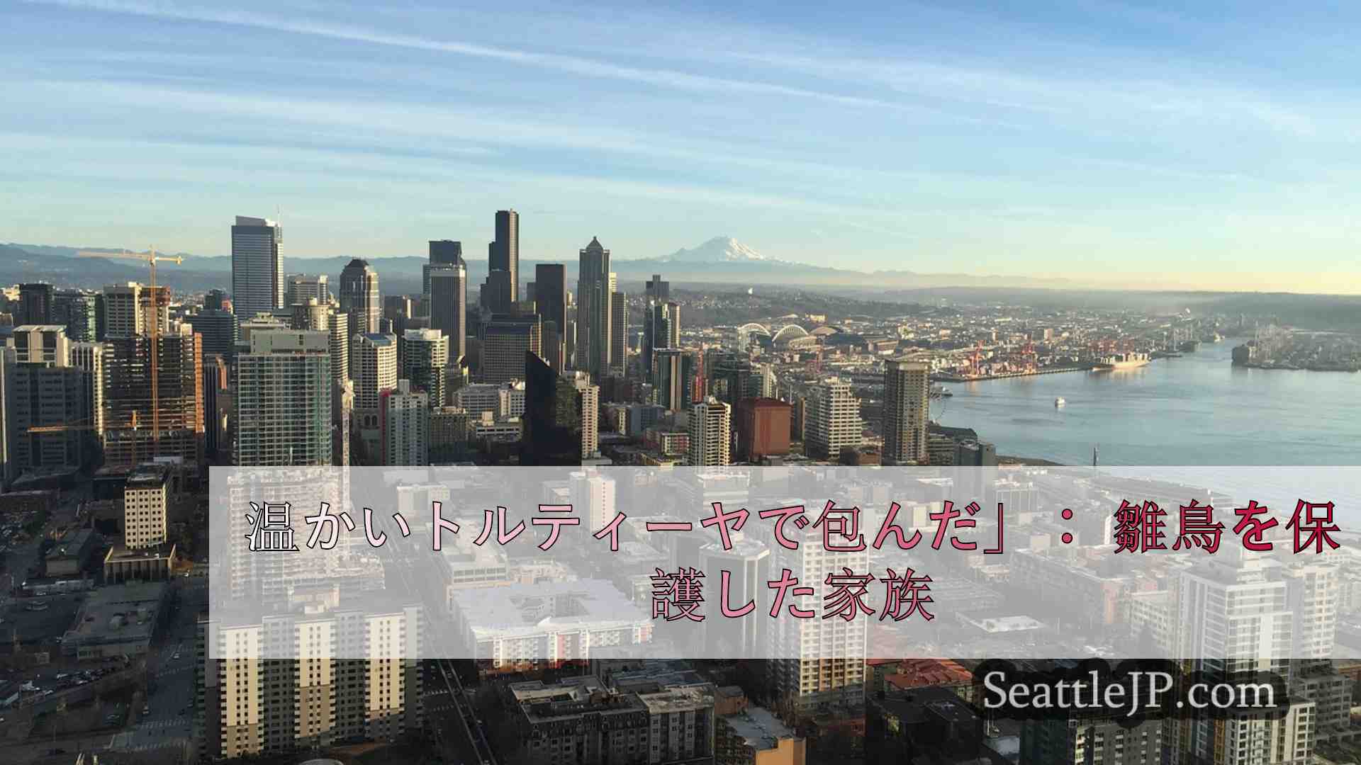 シアトルニュース SeattleJP