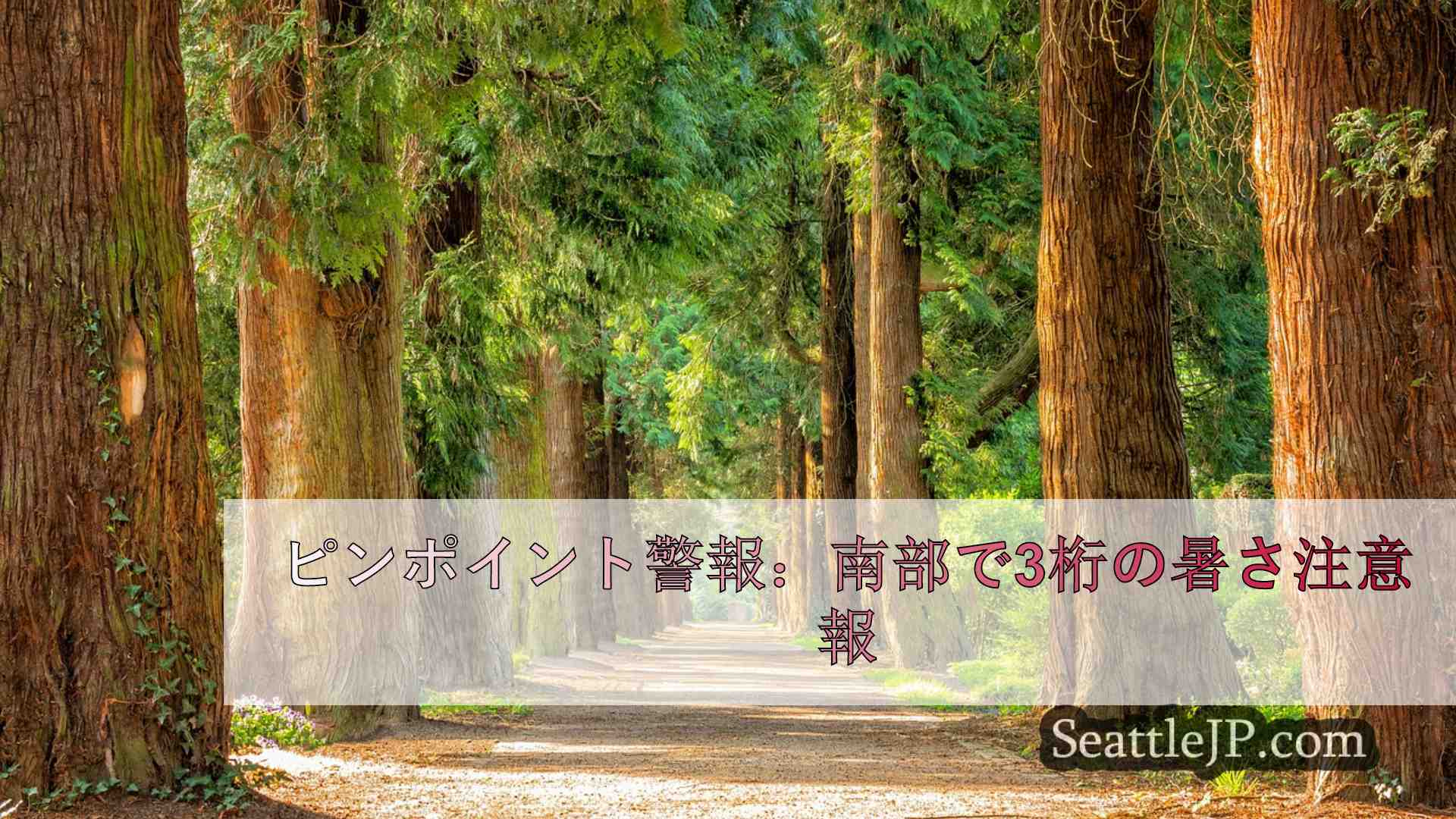 シアトルニュース SeattleJP