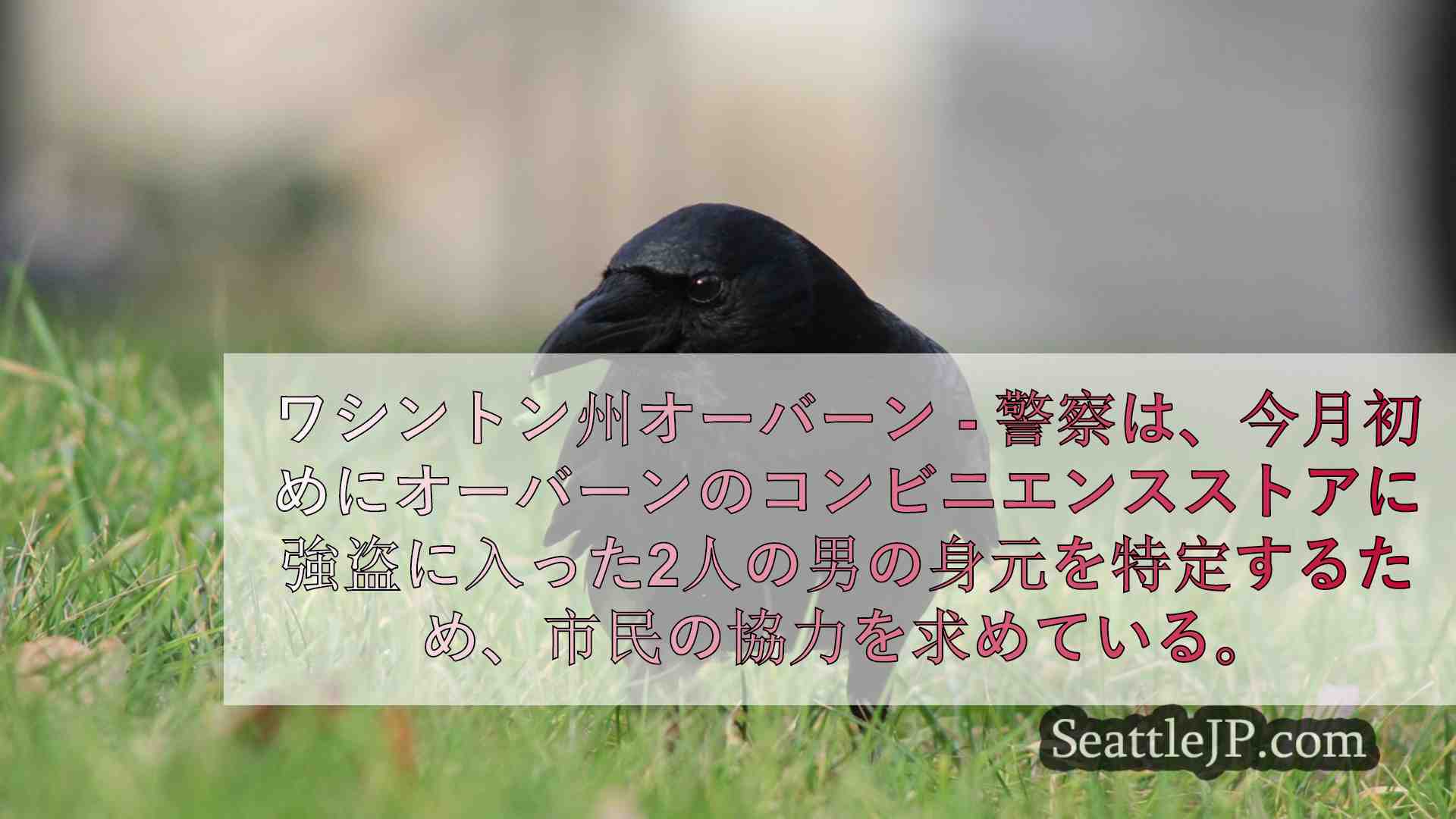 シアトルニュース SeattleJP