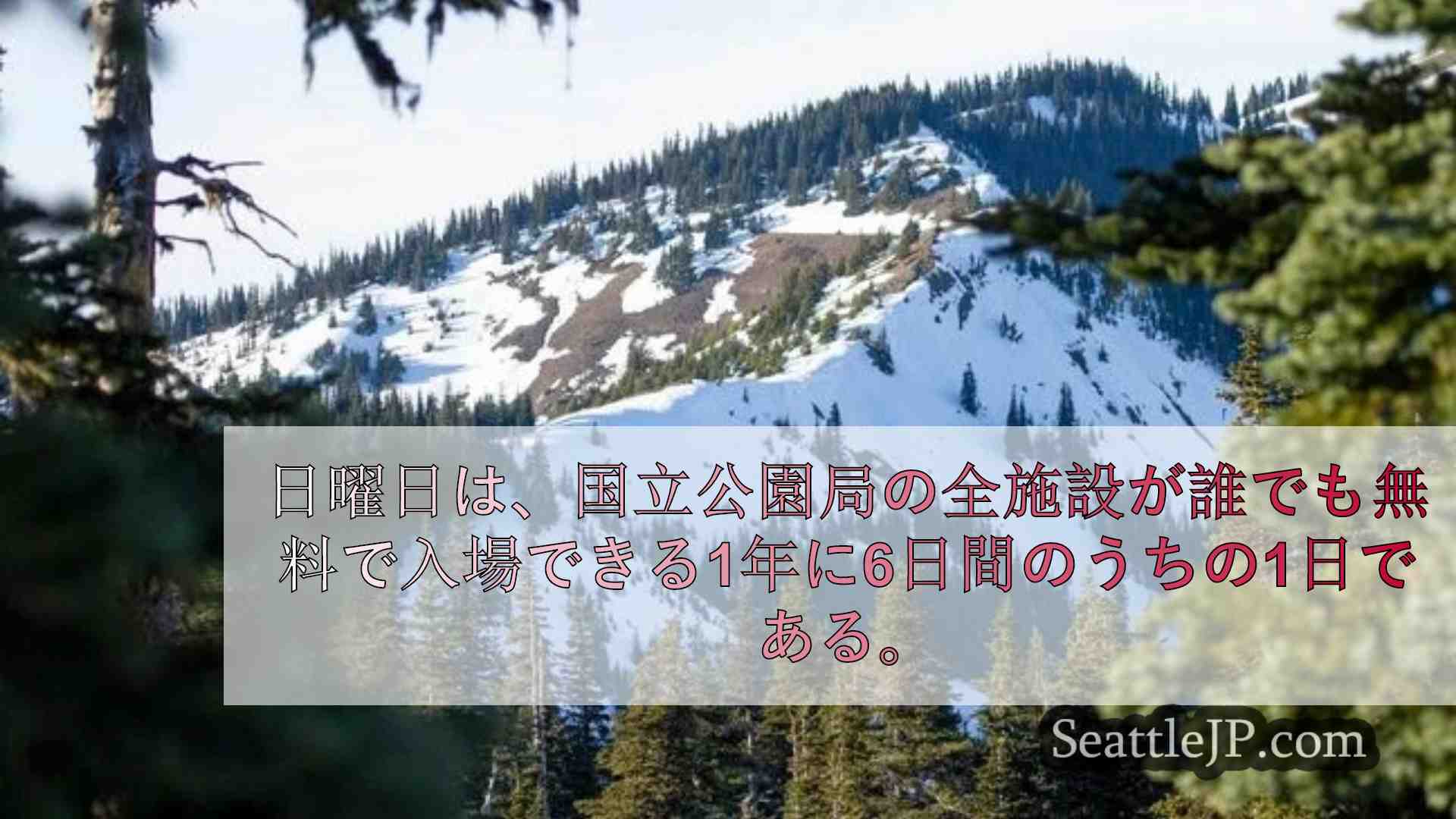 シアトルニュース SeattleJP