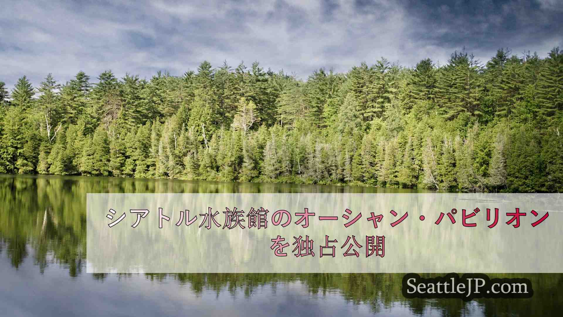 シアトルニュース SeattleJP