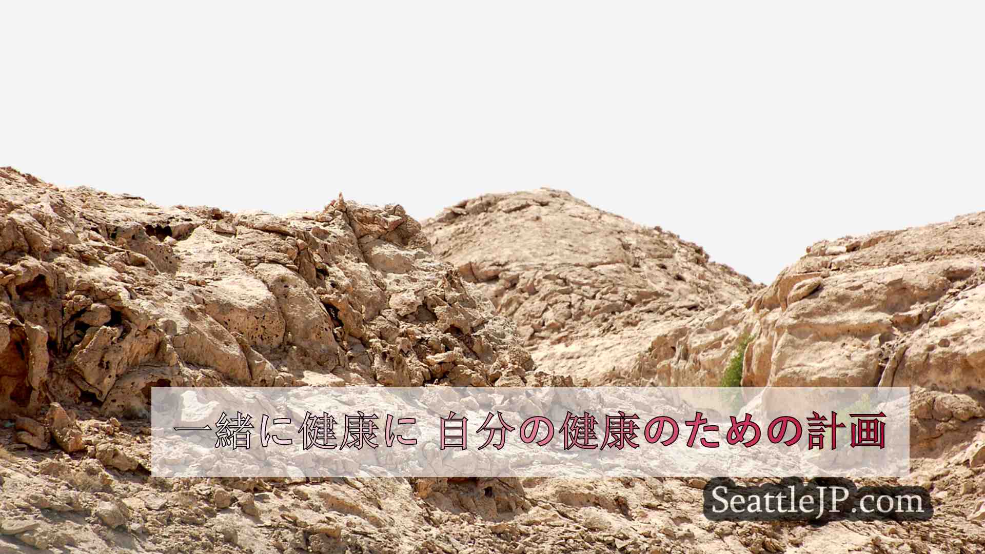 シアトルニュース SeattleJP