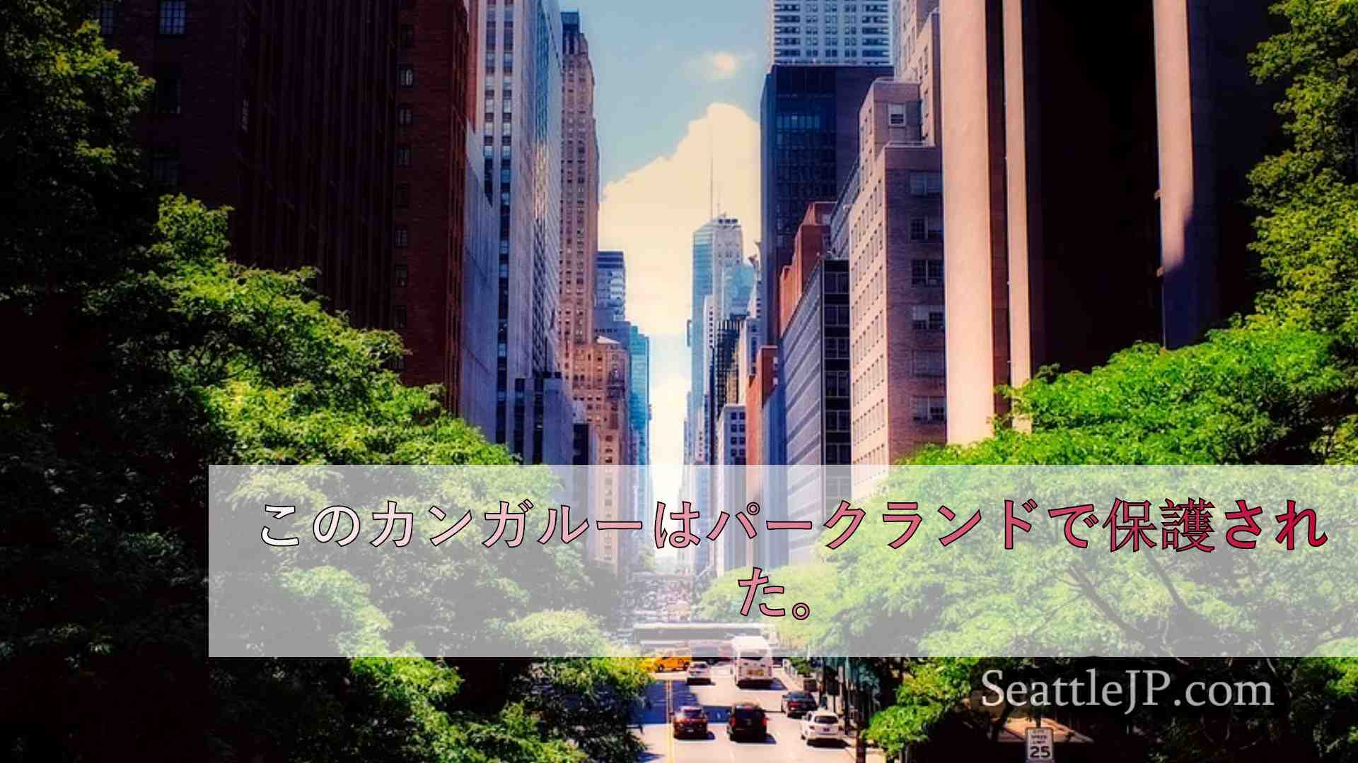シアトルニュース SeattleJP