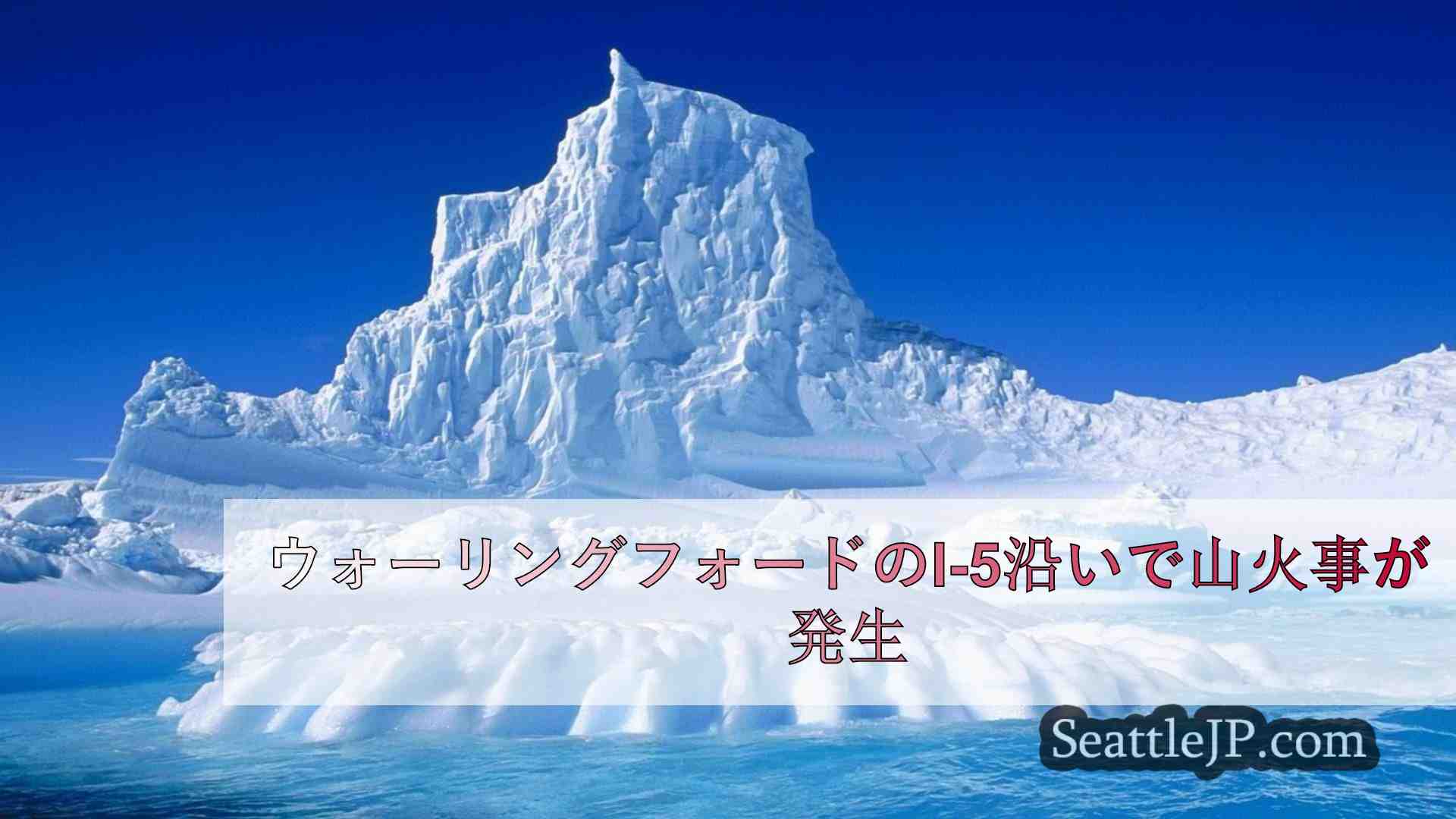 シアトルニュース SeattleJP