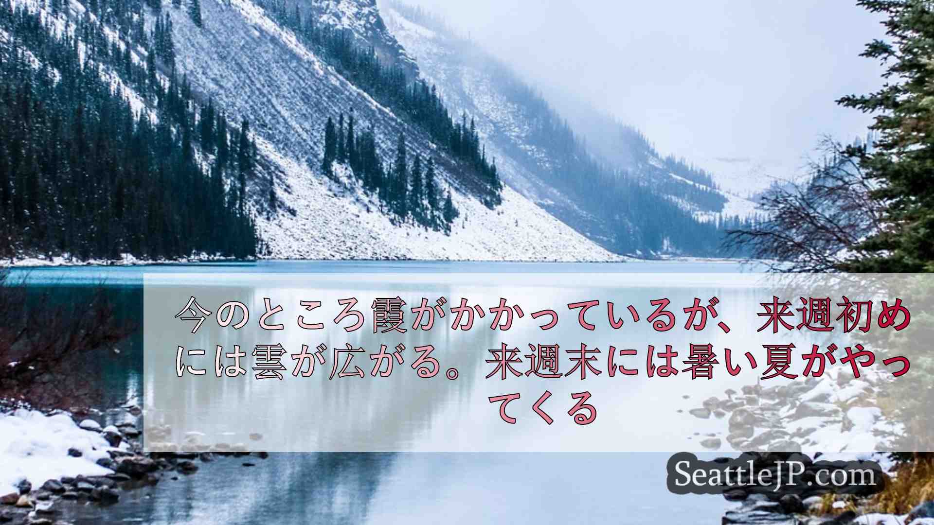 シアトルニュース SeattleJP