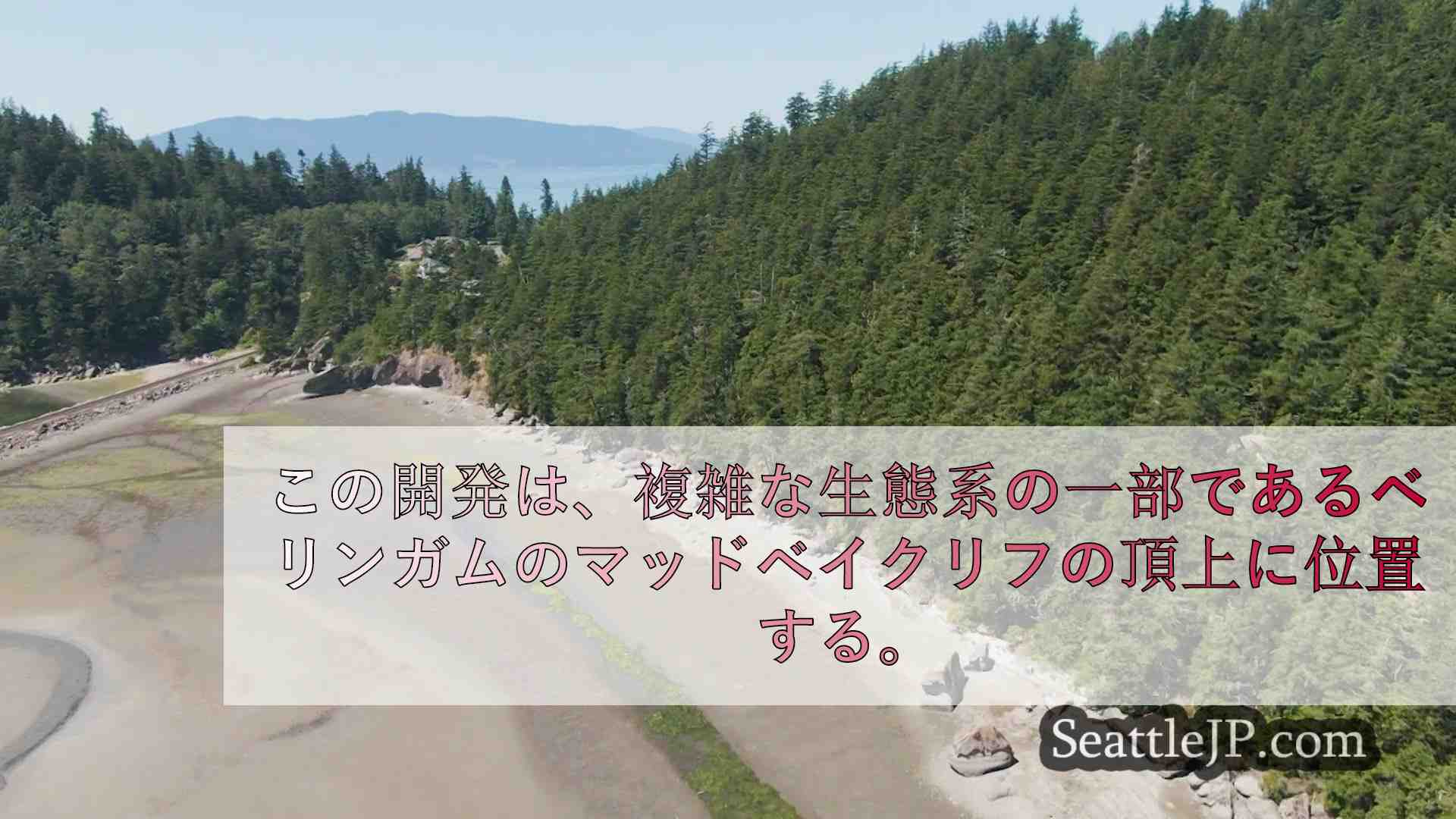 高級住宅地開発から繊細な海岸線を守るため、近隣住民が闘う