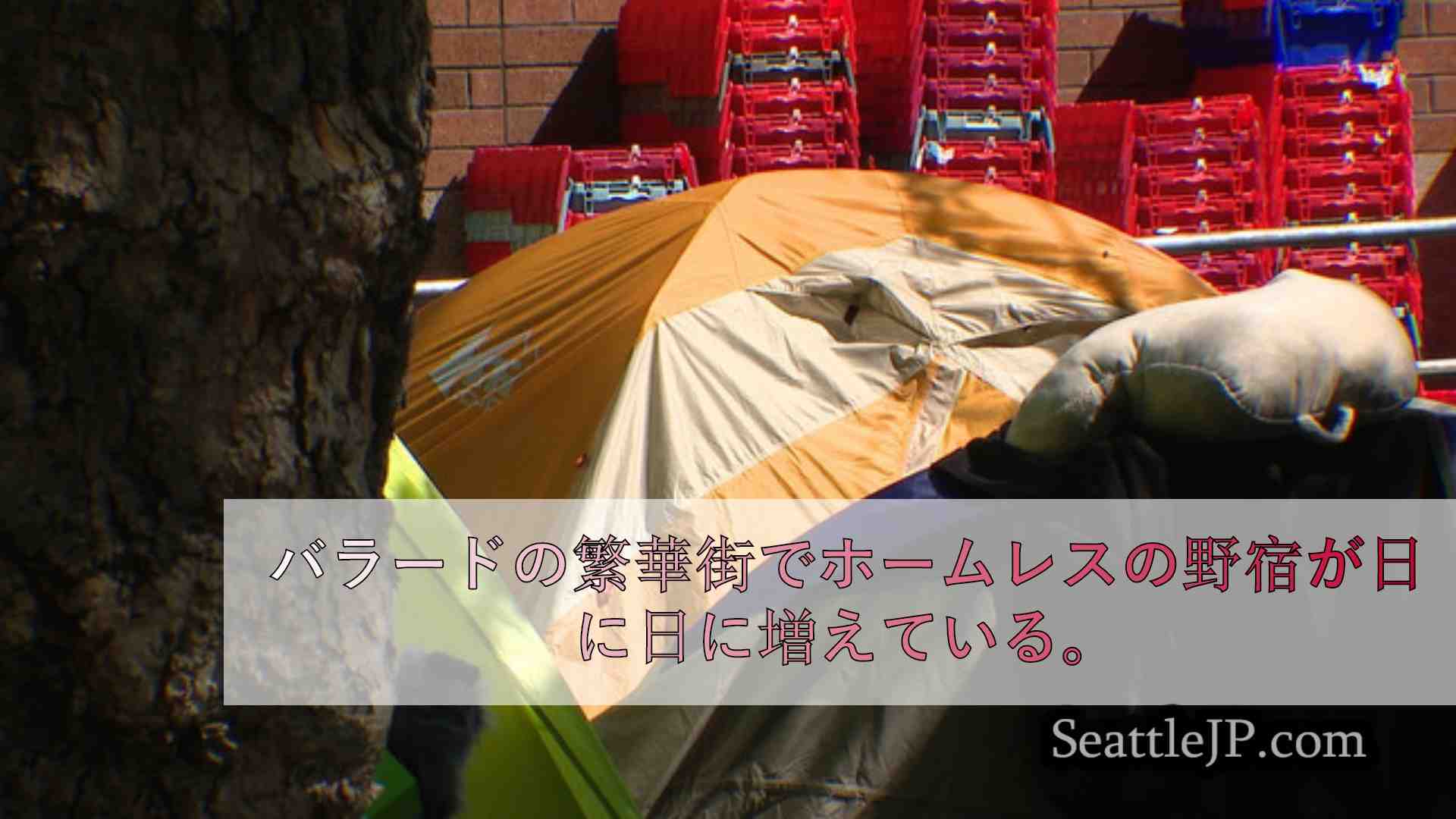 シアトルニュース SeattleJP