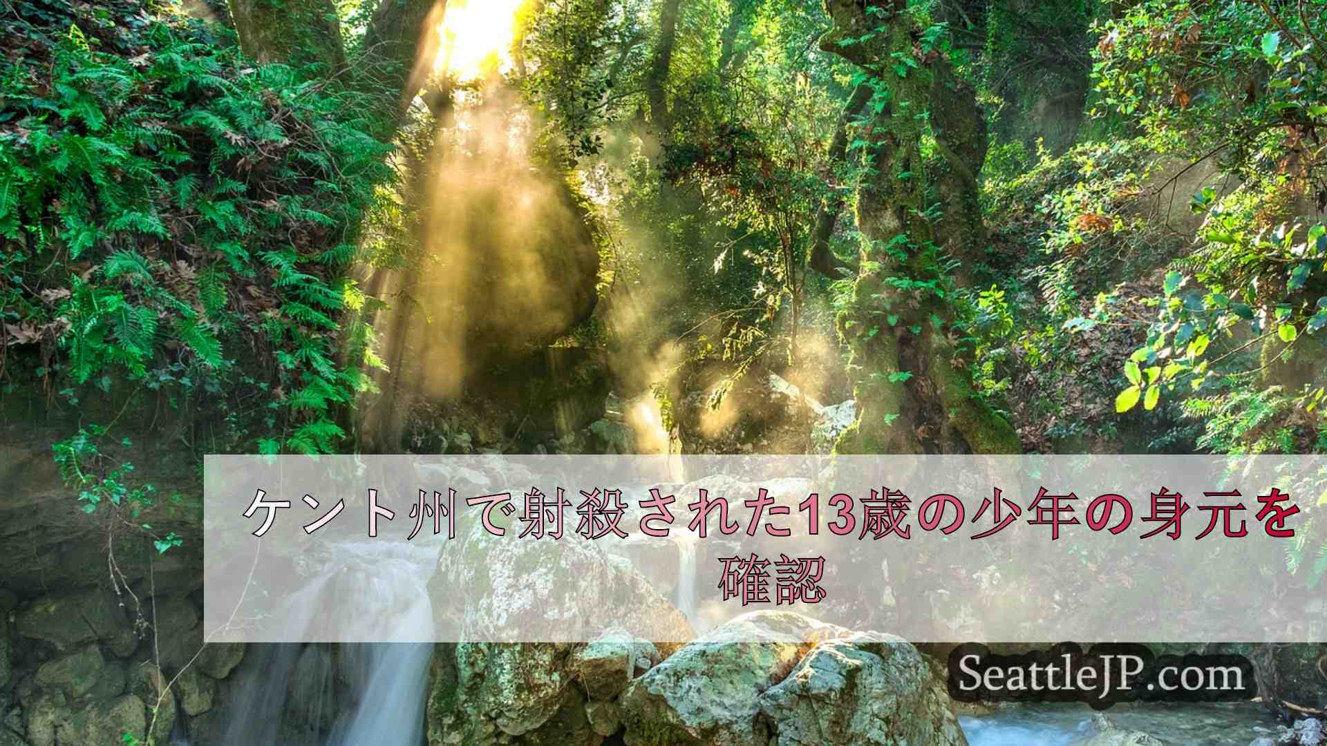 シアトルニュース SeattleJP