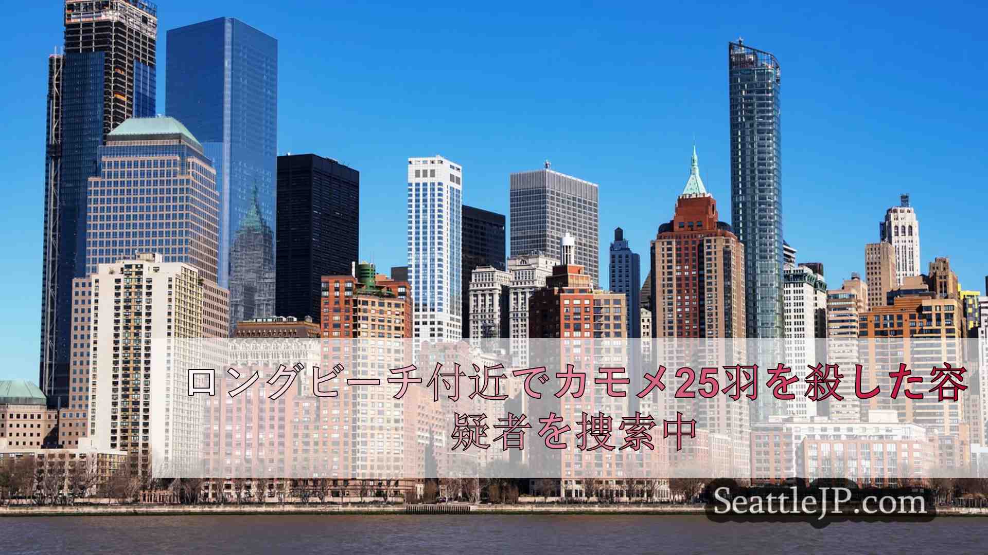 シアトルニュース SeattleJP