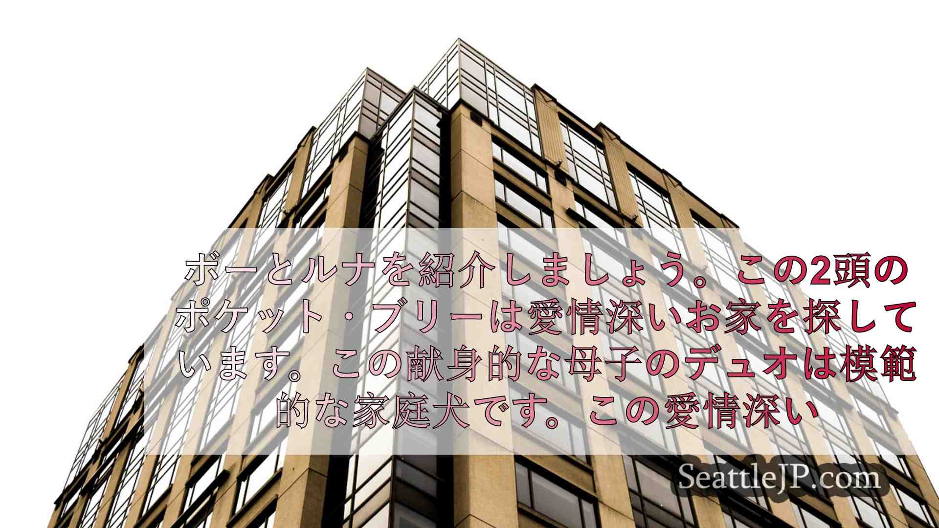 シアトルニュース SeattleJP