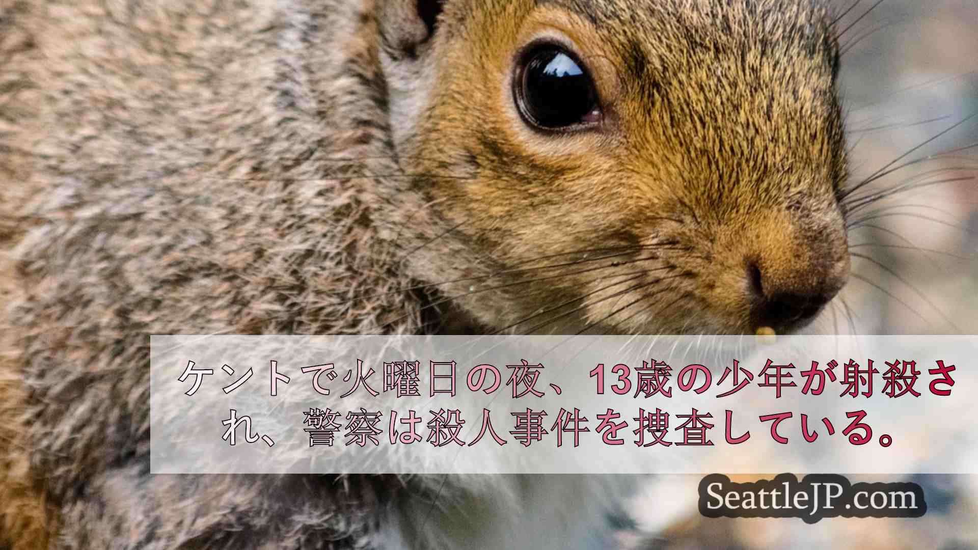 ケント州で13歳の少年が撃たれ死亡
