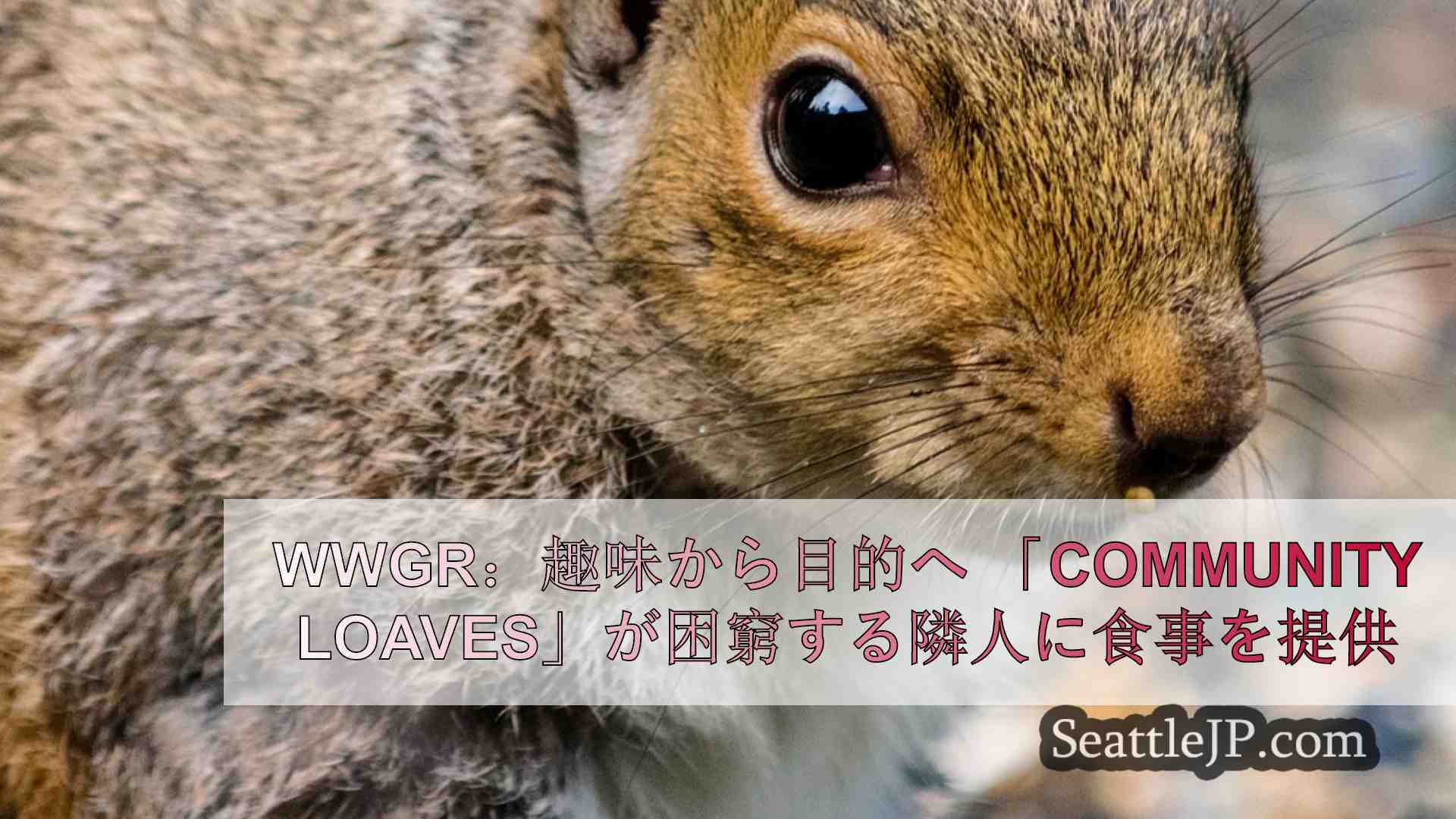 WWGR：趣味から目的へ 「Community