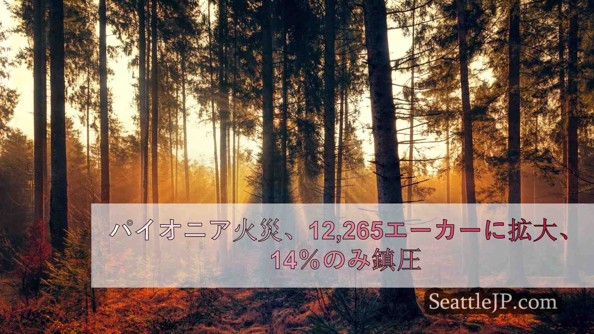 シアトルニュース SeattleJP