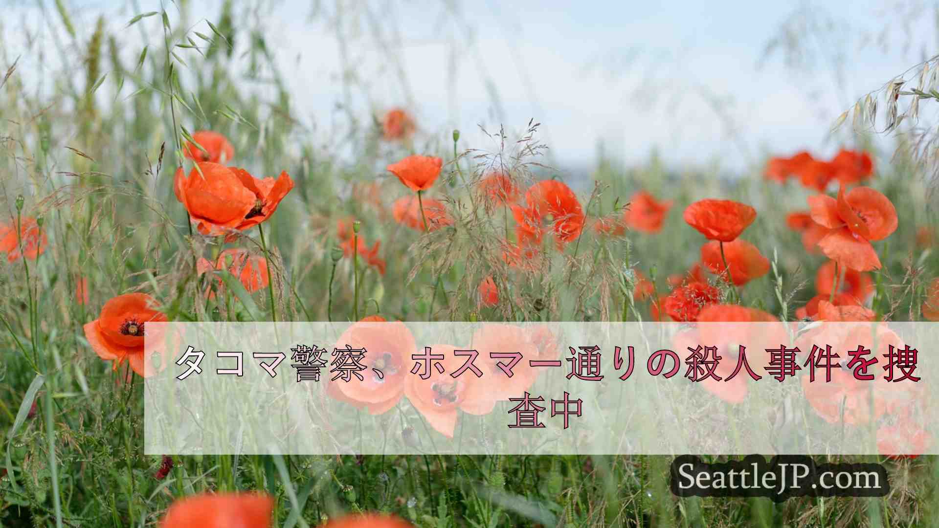 シアトルニュース SeattleJP