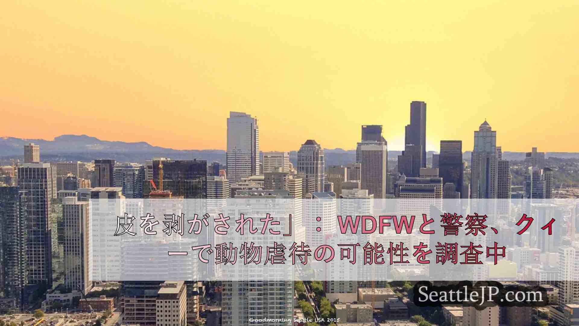 皮を剥がされた」： WDFWと警察、クイーン・アンで動物虐待の可能性を捜査中
