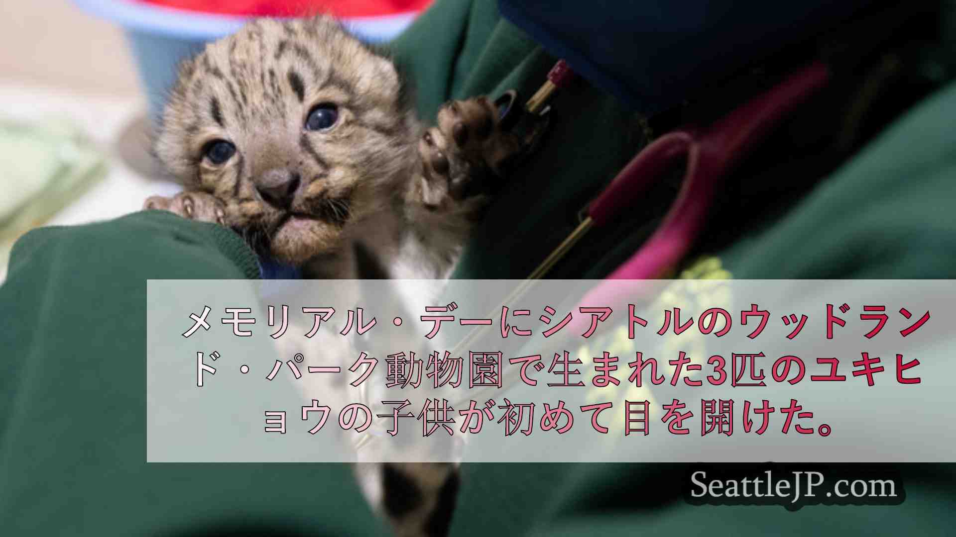 シアトルニュース SeattleJP